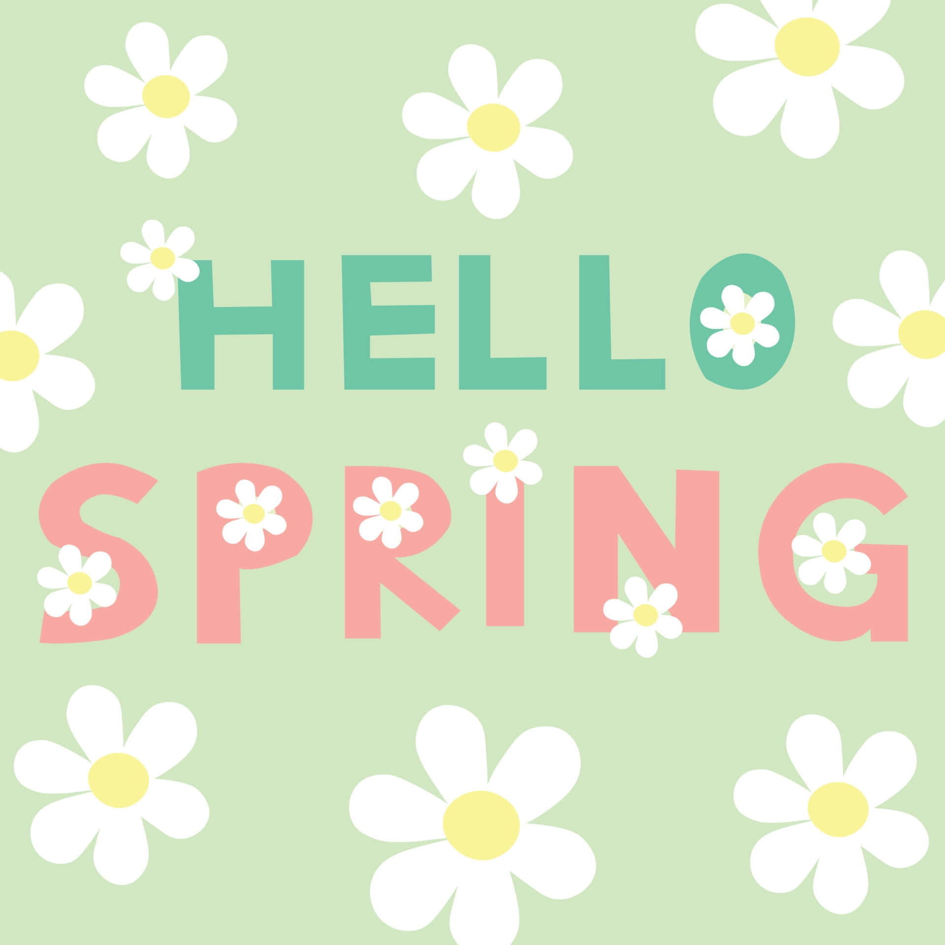 Hello Spring, pastel green, white daisies, Full HD Desktop Wallpaper
