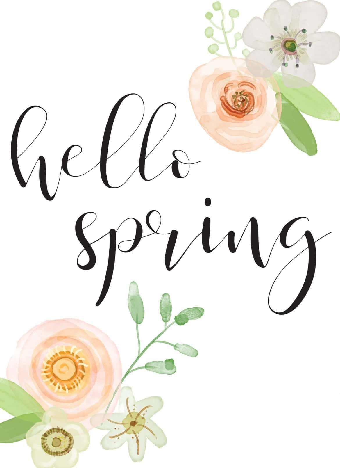 Hello Spring, watercolor, spring flowers, HD Phone Wallpaper