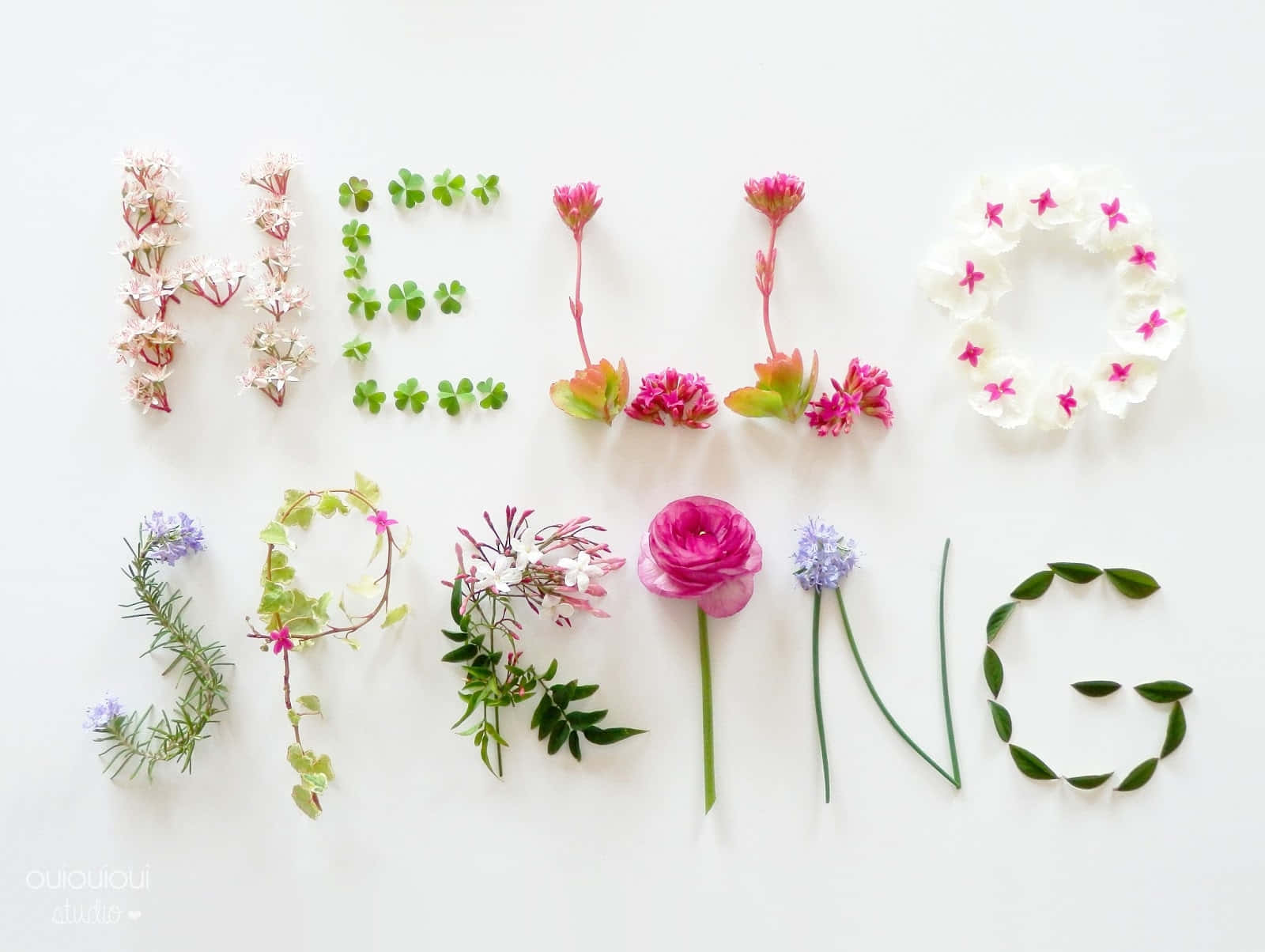 Hello Spring, floral typography, flowers, HD Desktop Wallpaper
