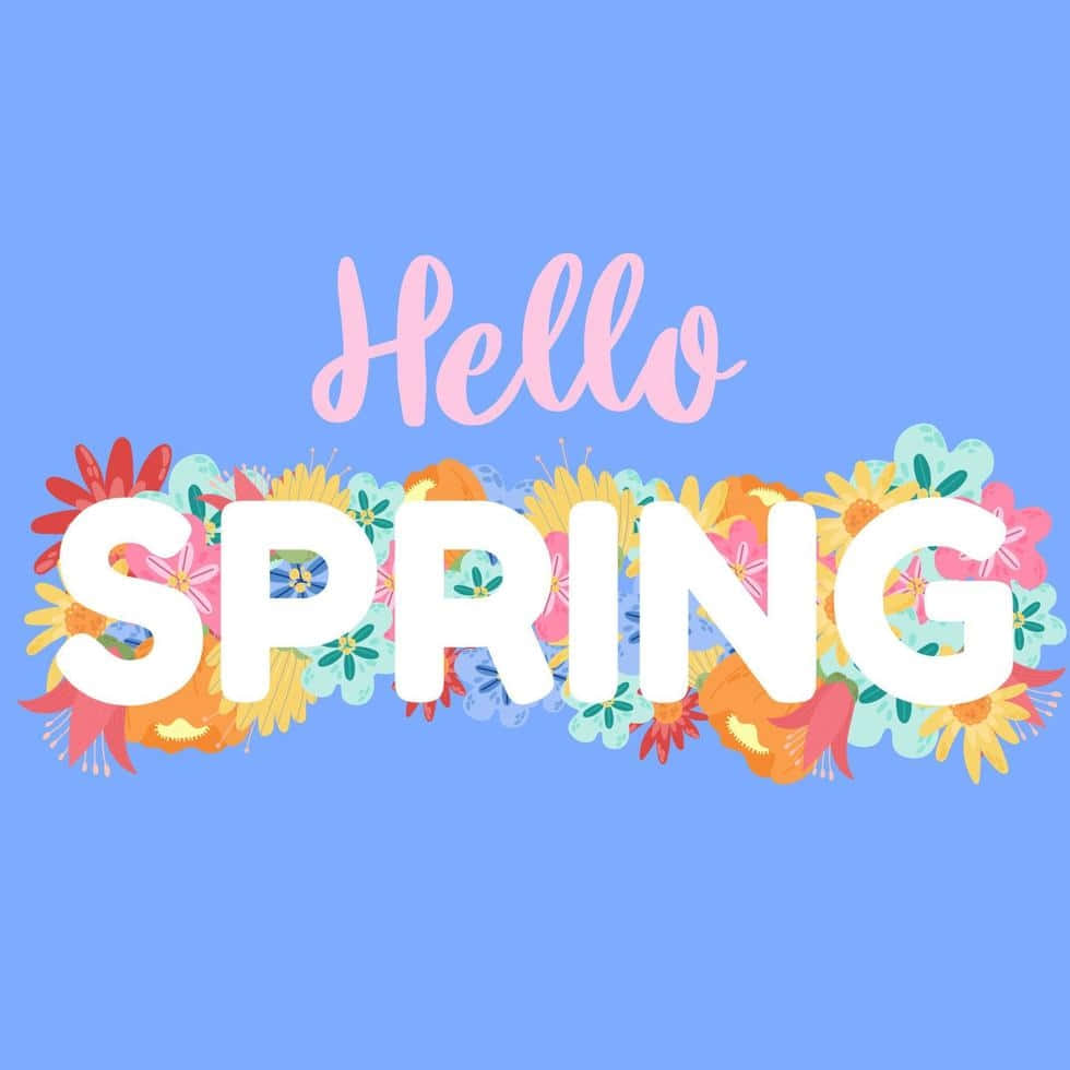 Hello Spring, SPRING, vibrant spring flowers, SD Desktop Wallpaper