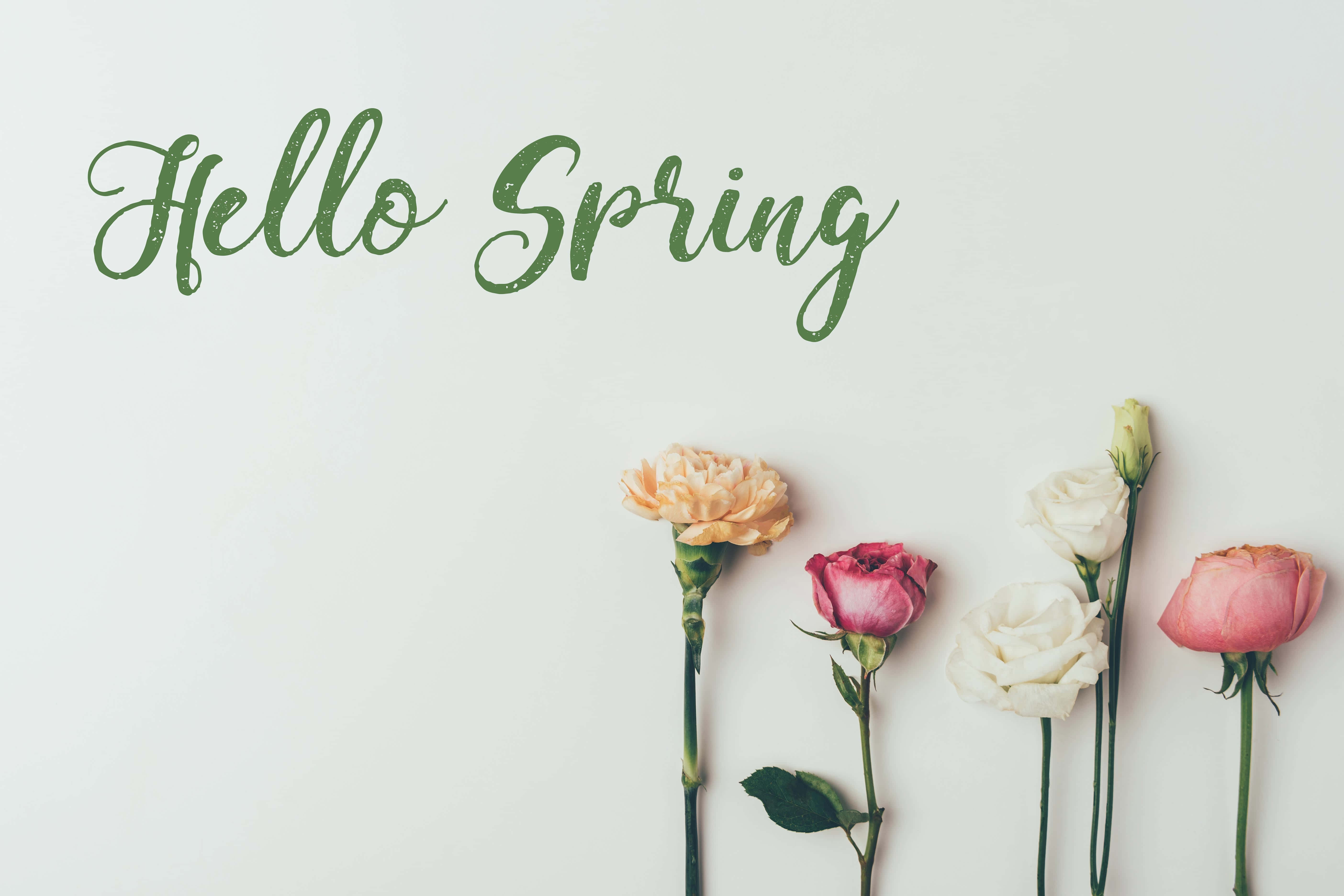 Hello Spring, pastel roses, peach pink, 5K Desktop Wallpaper