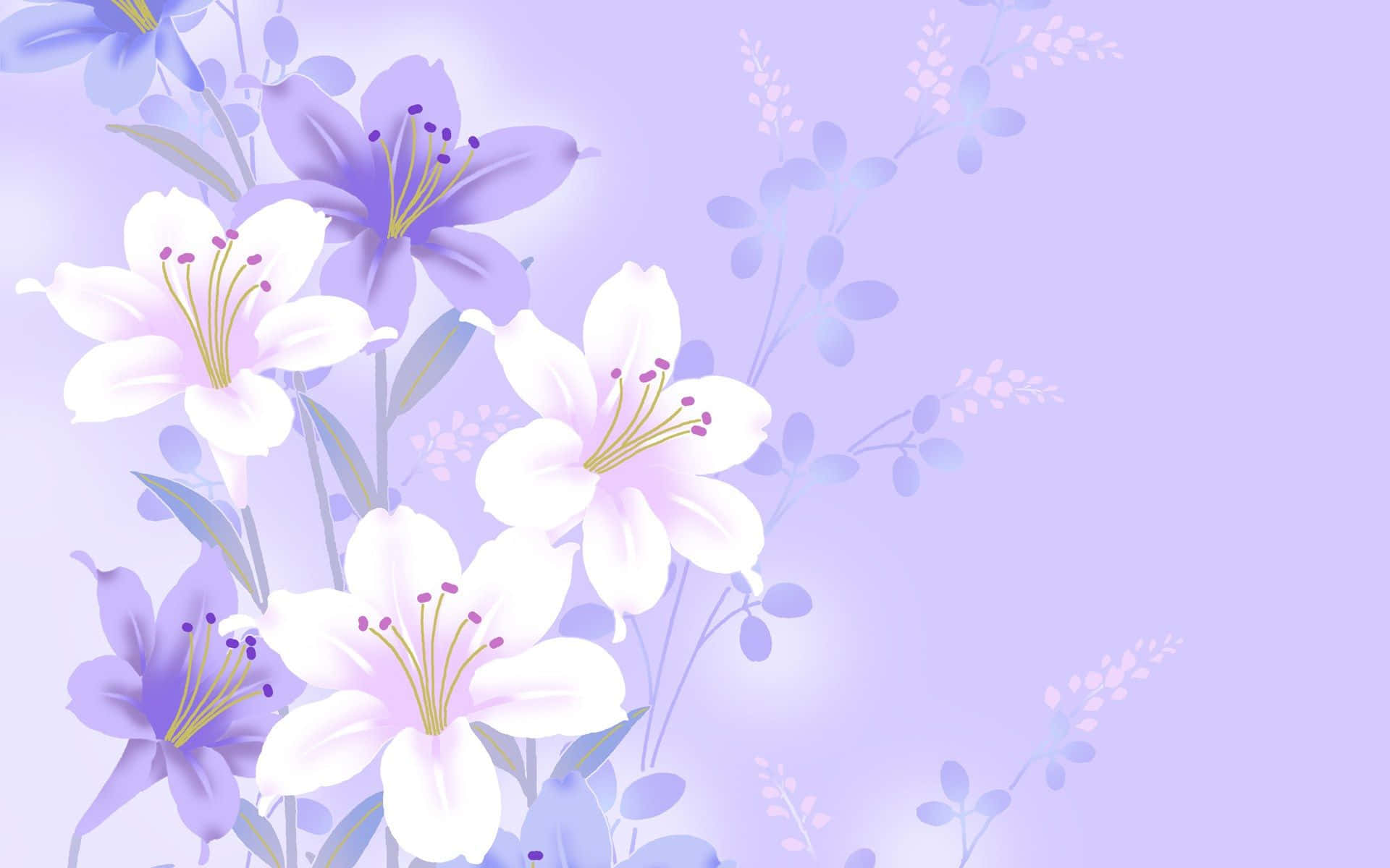 lavender, white lilies, pastel purple gradient background, Full HD Desktop Wallpaper