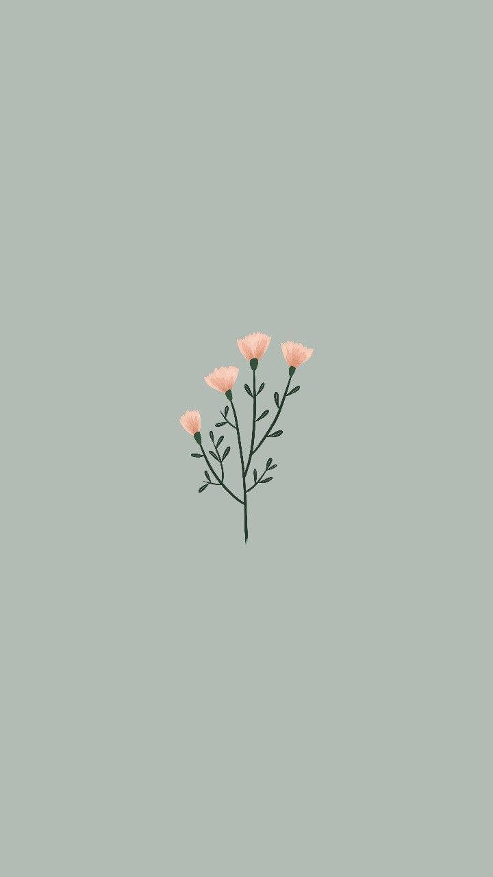 minimalist spring, pink flower cluster, slender stem, HD Phone Wallpaper