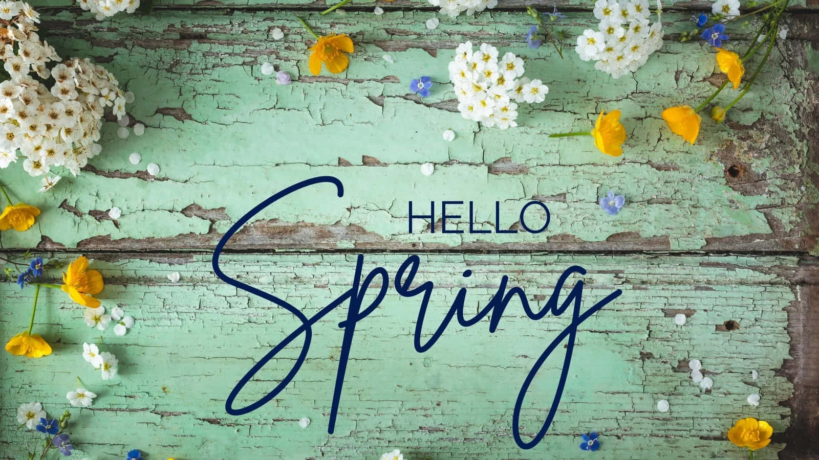Hello Spring, floral wooden backdrop, weathered mint green, HD Desktop Wallpaper