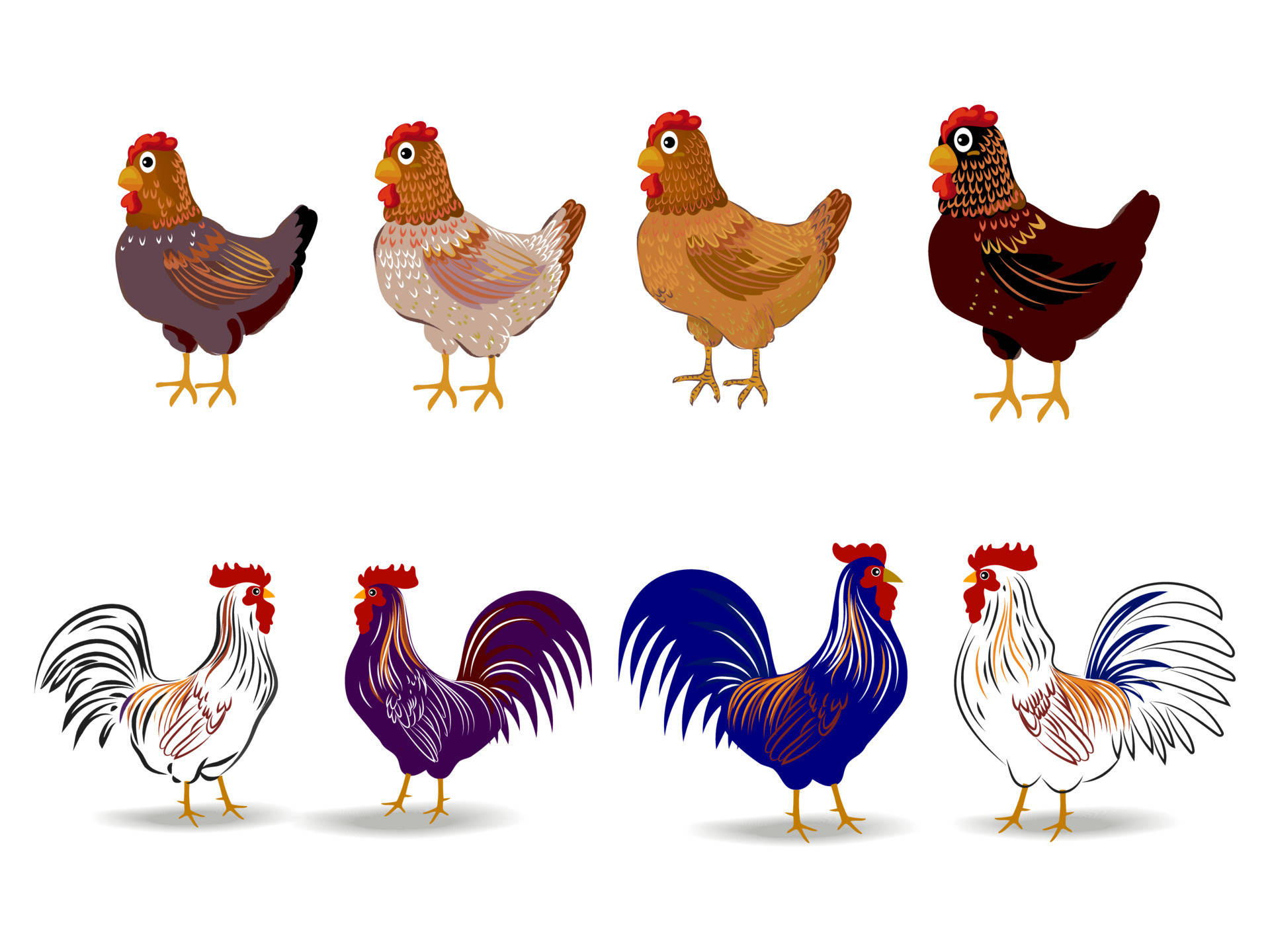 Hen, chickens, roosters, Full HD Desktop Wallpaper