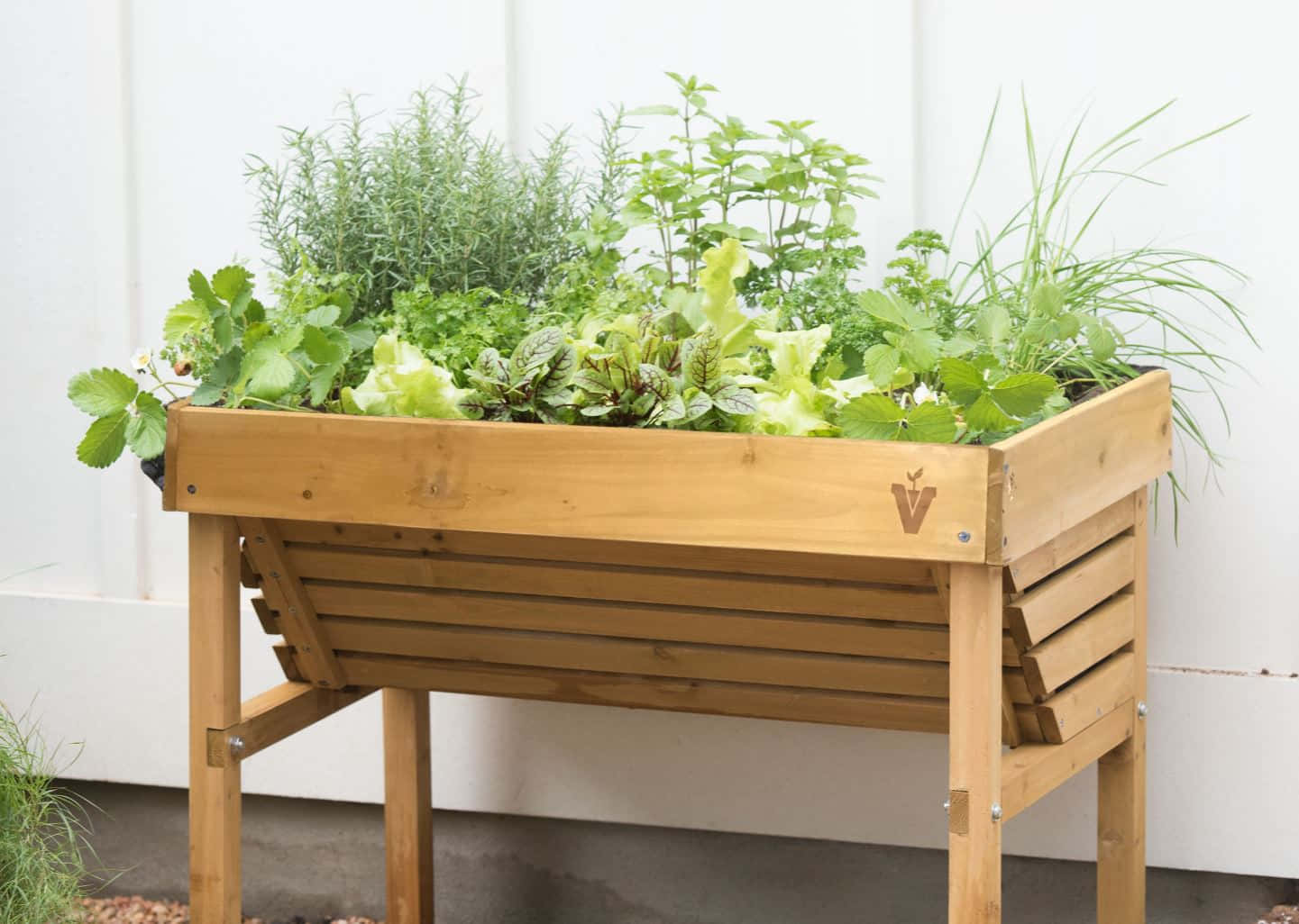 Herb Garden, wooden raised garden bed, fresh herbs, HD Desktop Wallpaper