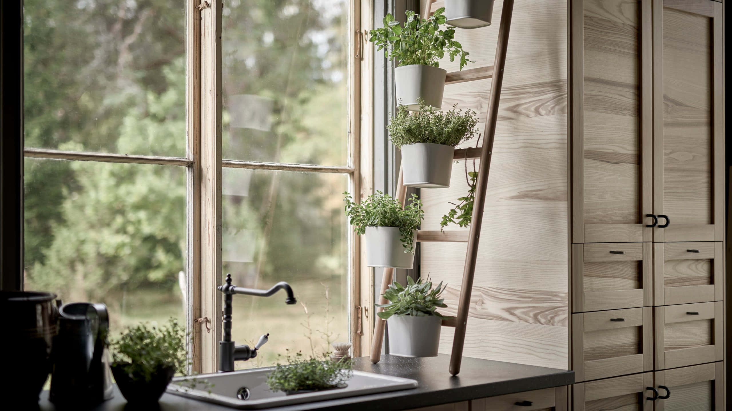 Herb Garden, sunlit kitchen, wooden cabinets, 2K Desktop Wallpaper