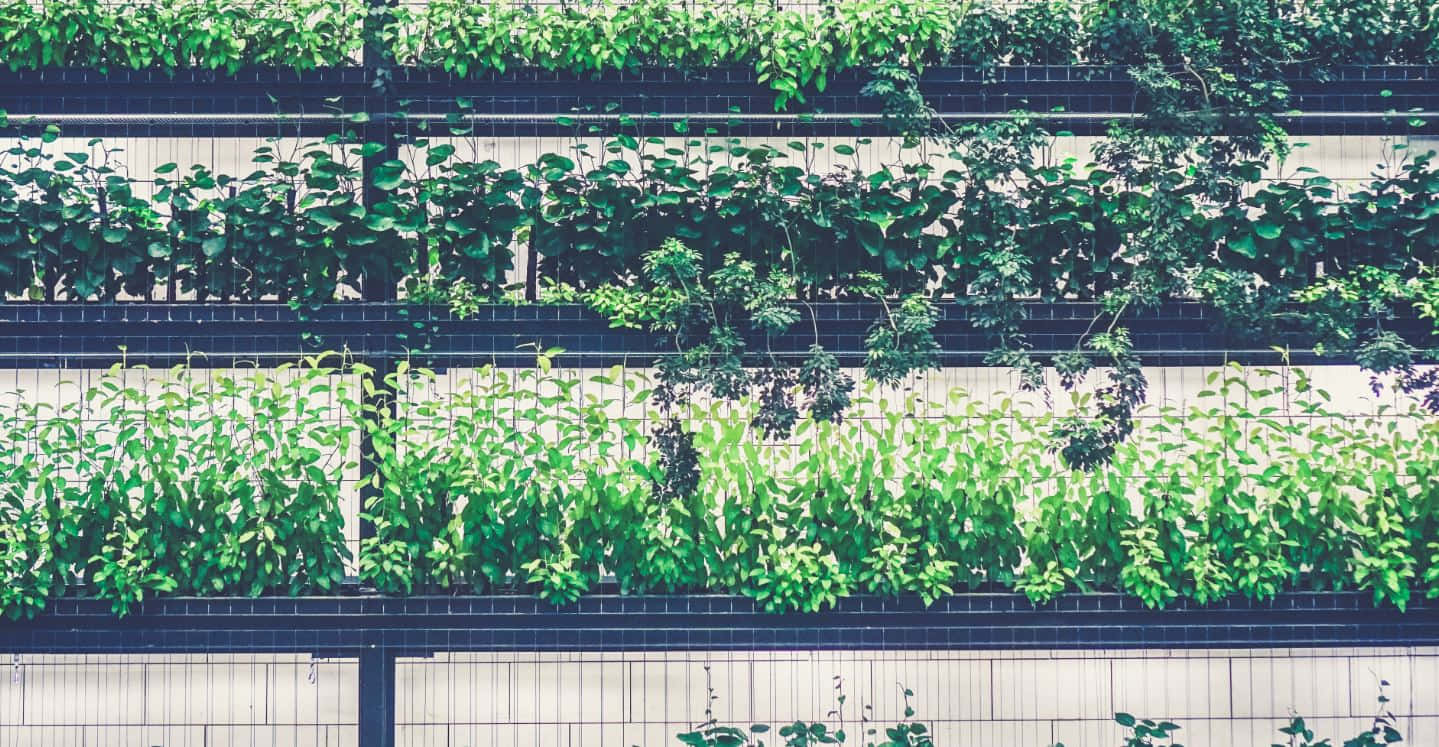 Herb Garden, 1439 x 747, modern trellis system, HD Desktop Wallpaper
