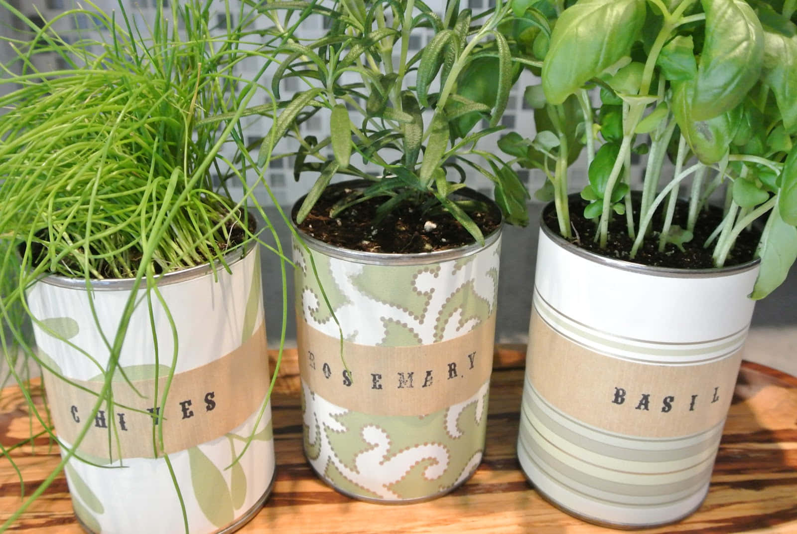 herb garden, chives, rosemary, HD Desktop Wallpaper