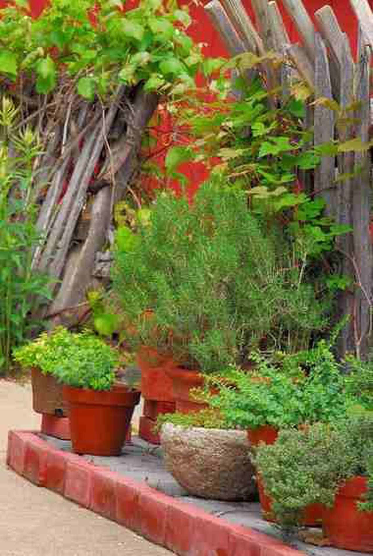 Herb Garden, terracotta pots, lush green herbs, HD Phone Wallpaper