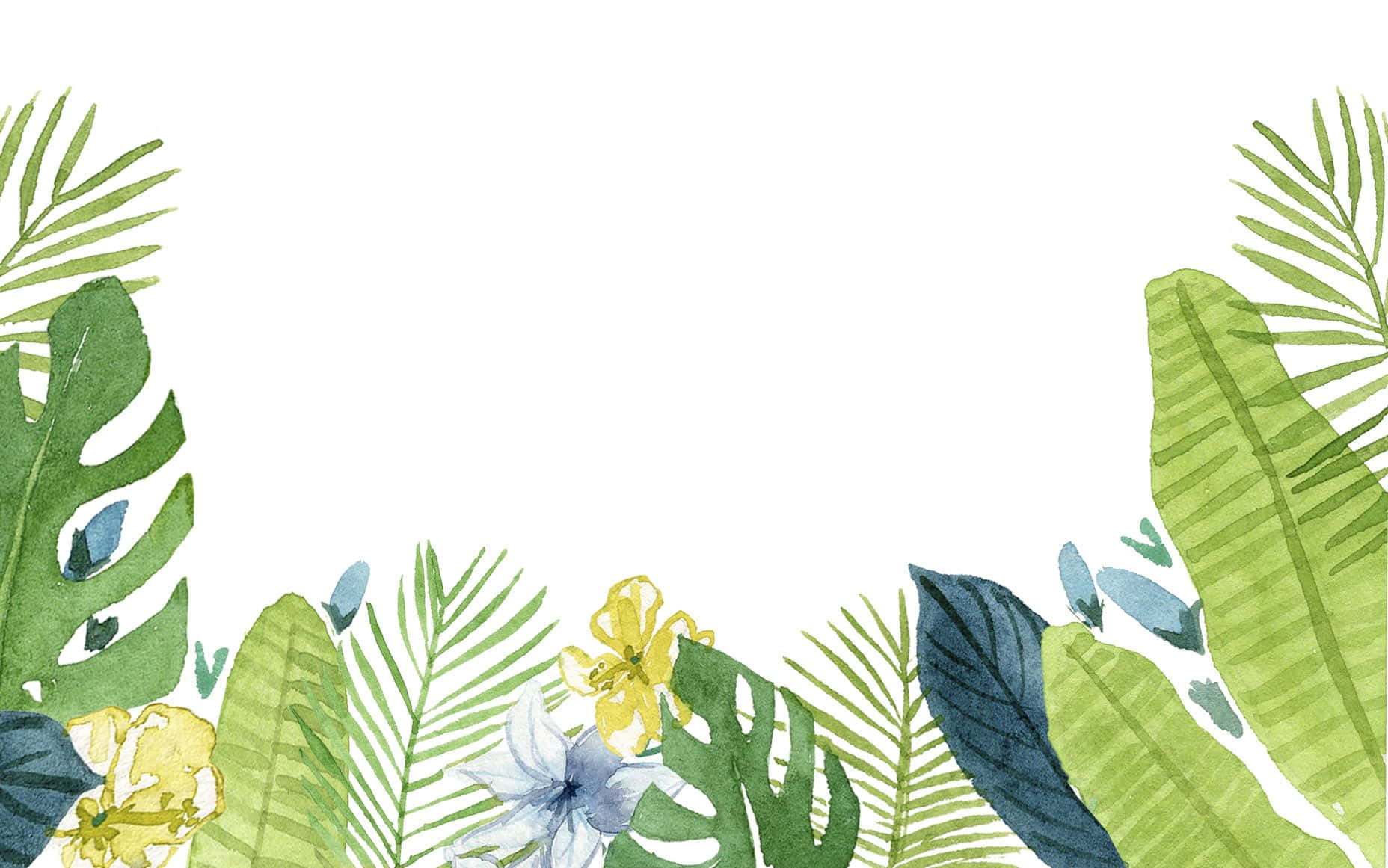 botanical, monstera, palm leaves, HD Desktop Wallpaper
