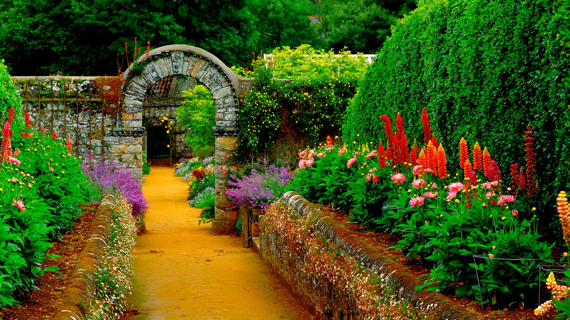 Botanical Garden, stone archway, lush green hedges, Full HD Desktop Wallpaper