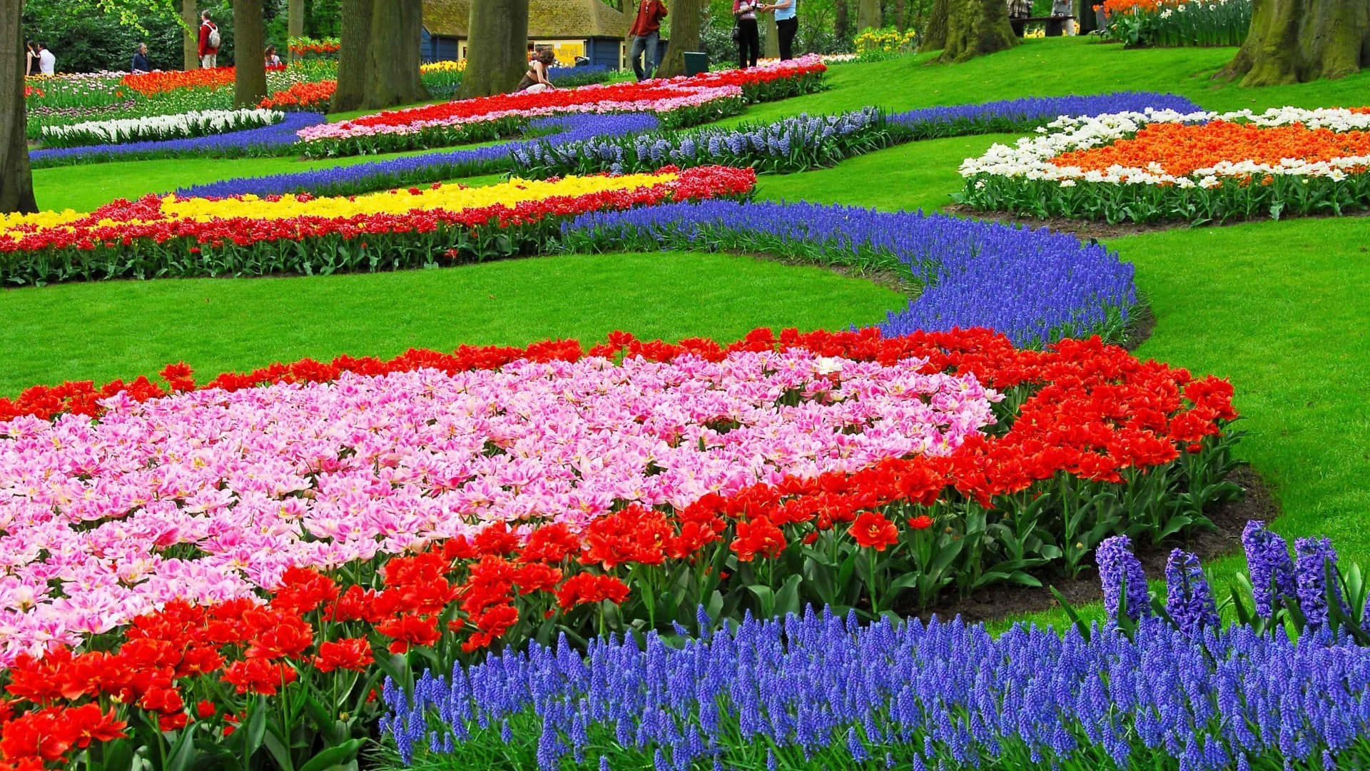 botanical garden, red, pink, Full HD Desktop Wallpaper