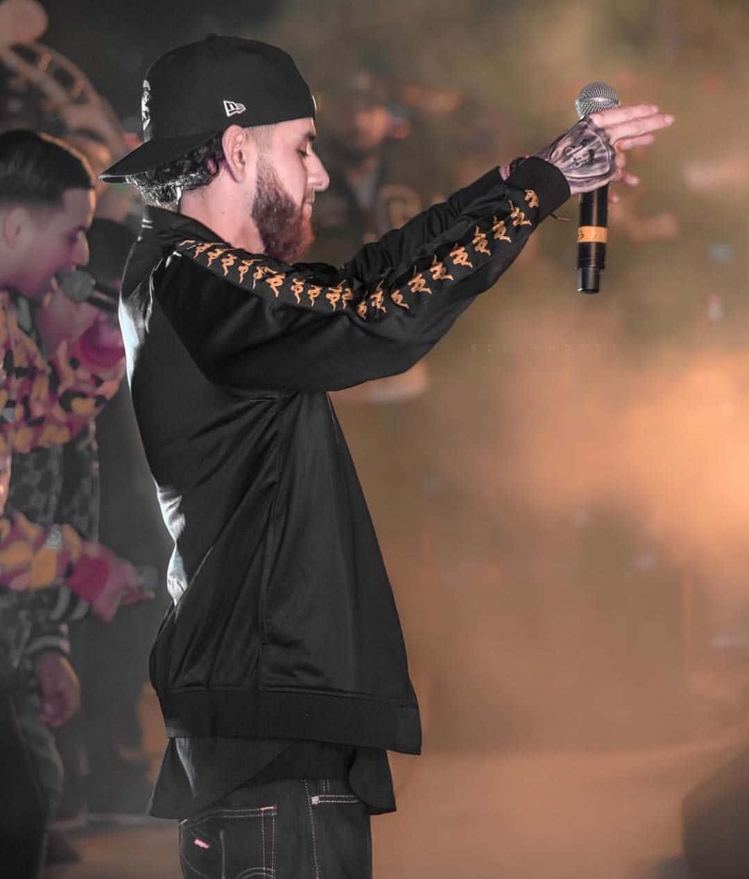Herencia De Patrones, stage, microphone, SD Phone Wallpaper