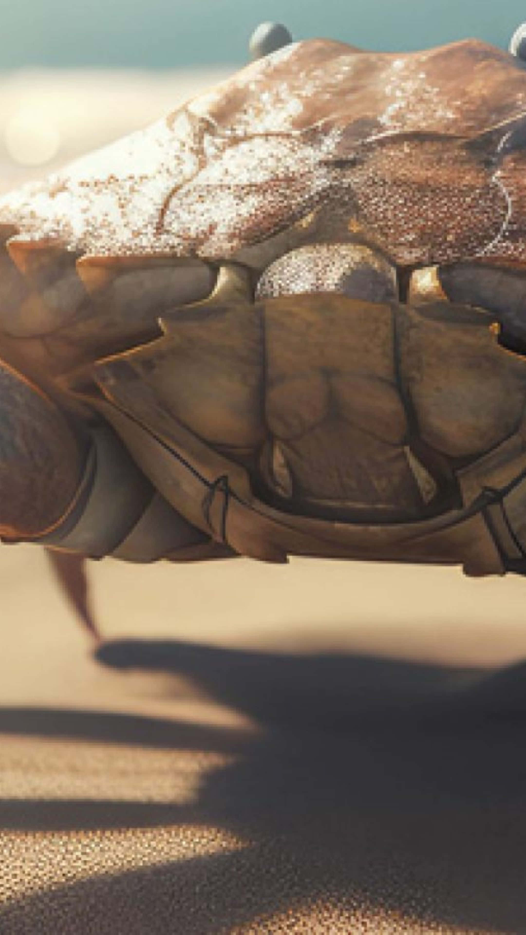 brown crab, sandy texture, beach, 4K Phone Wallpaper