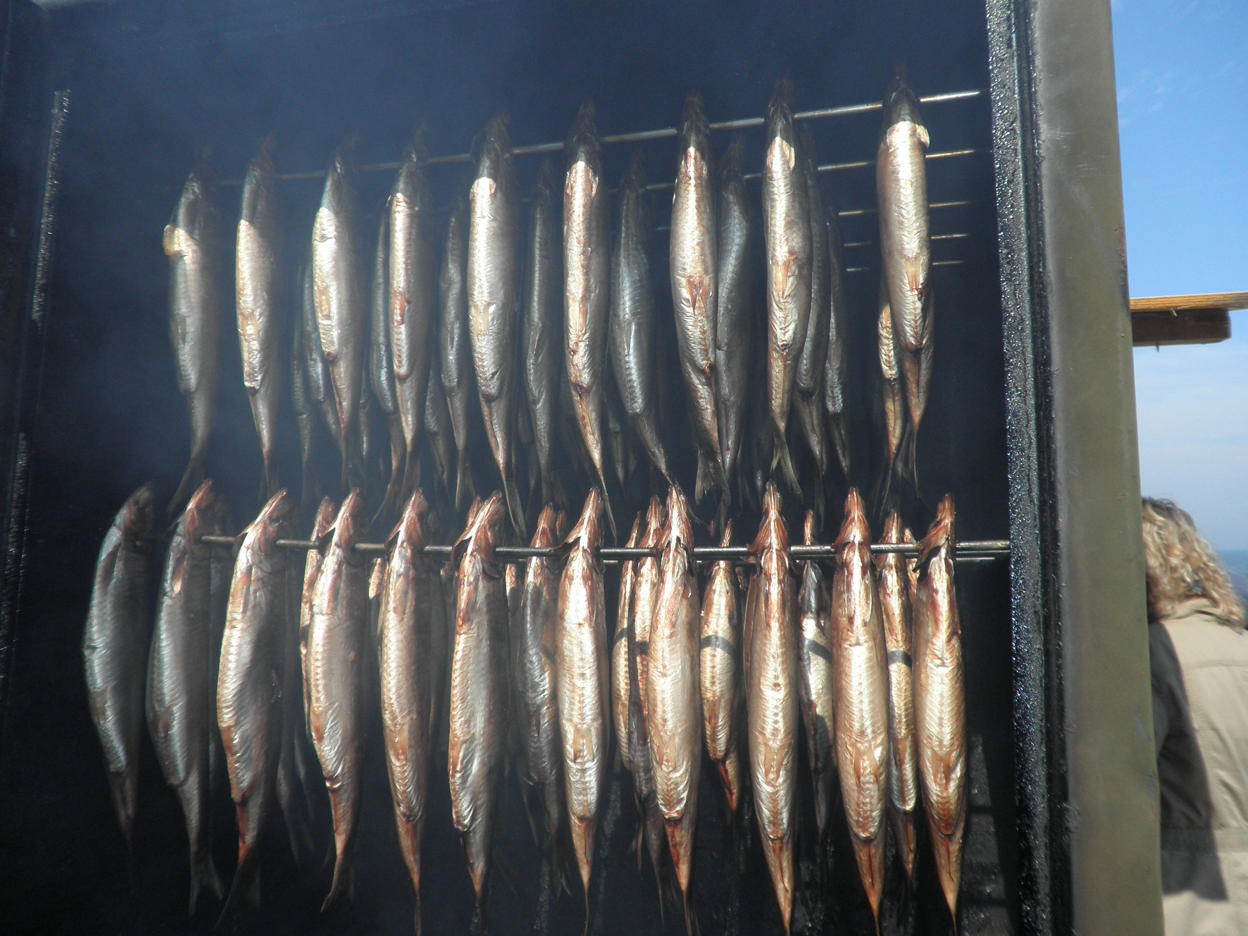 smoke whole herrings, silver fish, dark wooden smoker, 4K Desktop Wallpaper