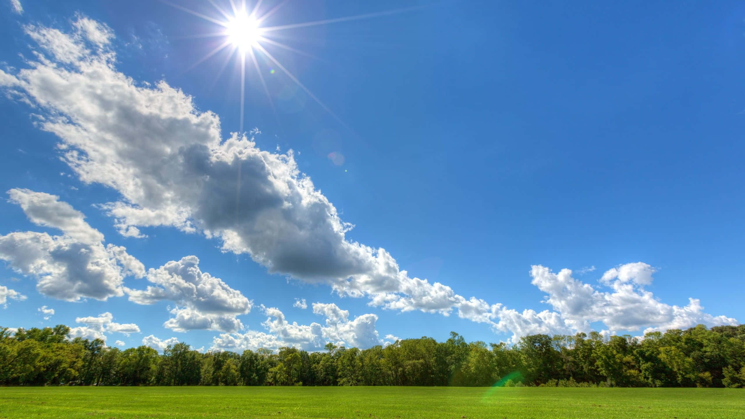 Hi Res Sky, Daylight Field, vibrant green field, 2K Desktop Wallpaper