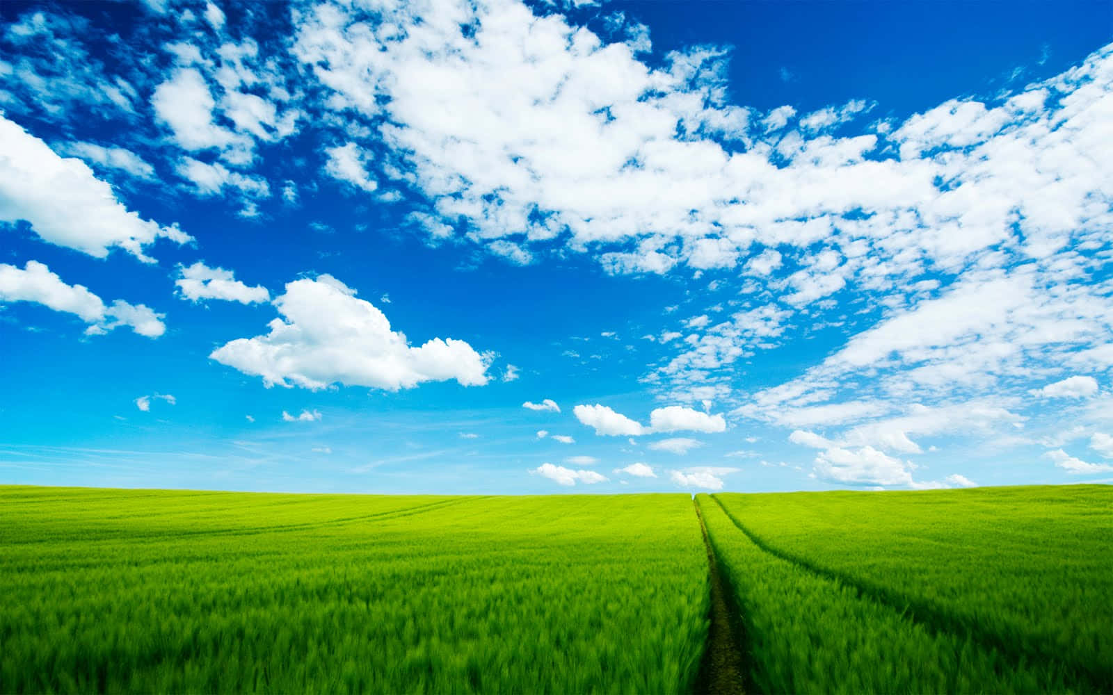 Hi Res Sky, wheat field, horizon, HD Desktop Wallpaper