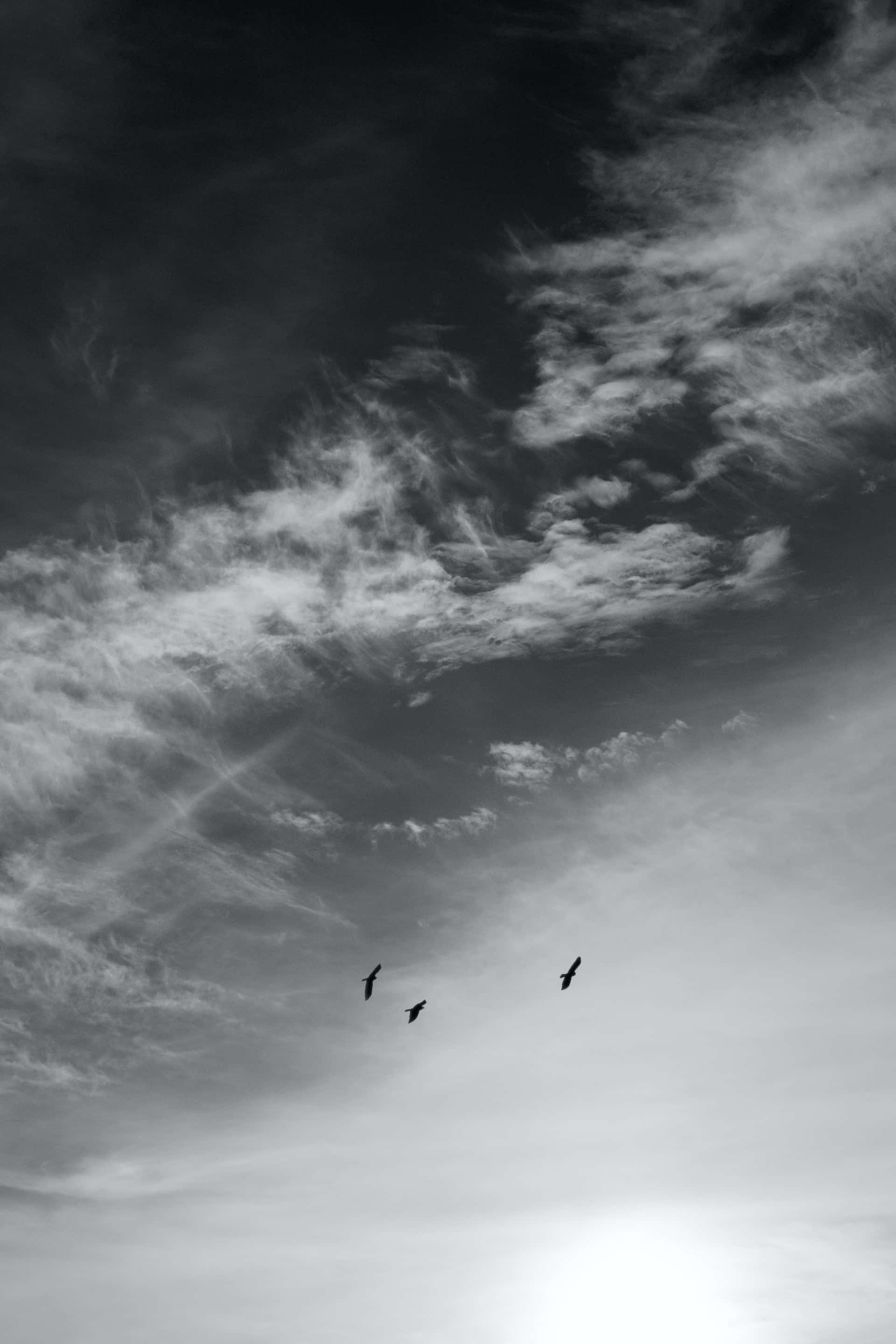 black and white sky, dramatic monochrome sky, wispy clouds, 2K Phone Wallpaper