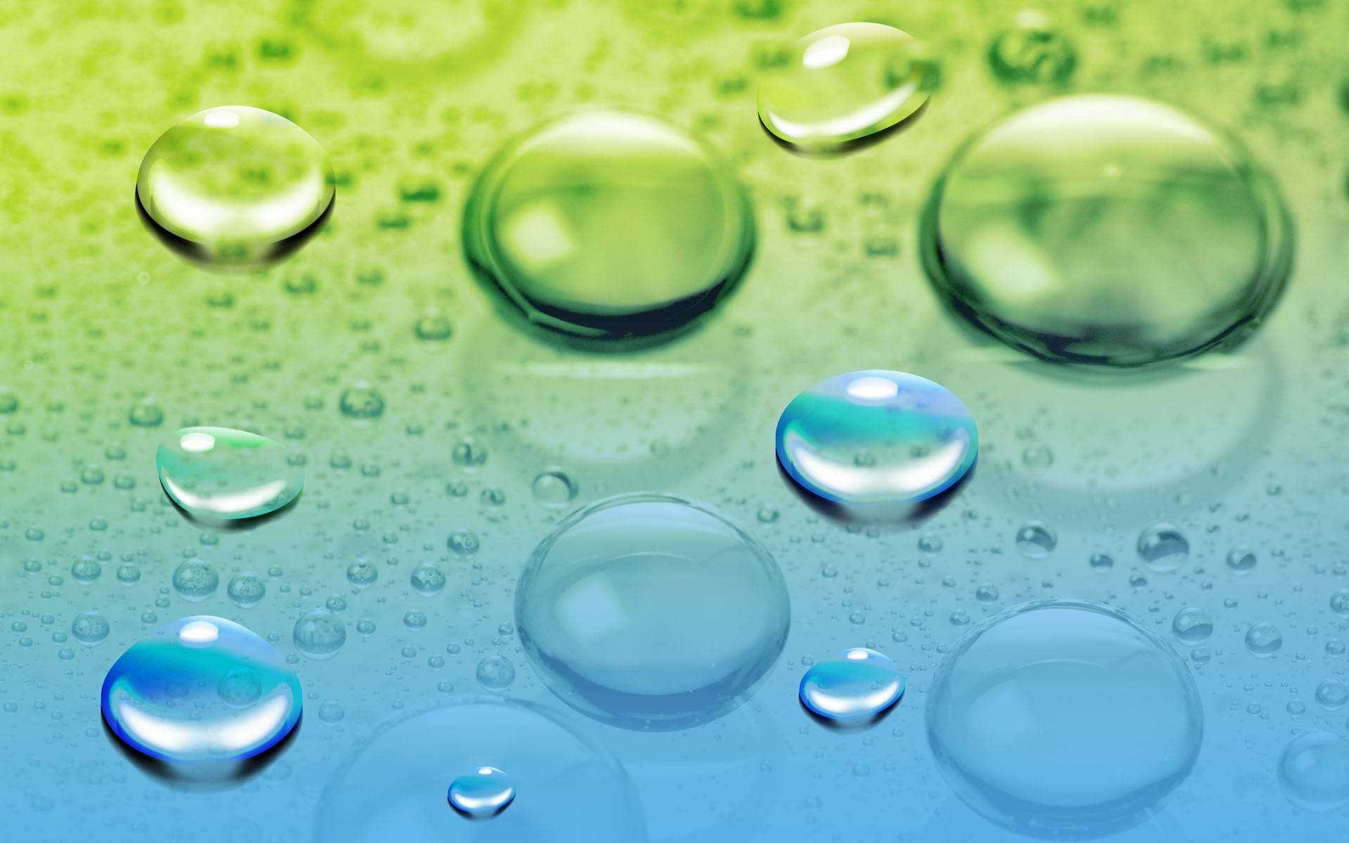 big droplets, glistening water droplets, lime green to cyan blue gradient surface, Full HD Desktop Wallpaper