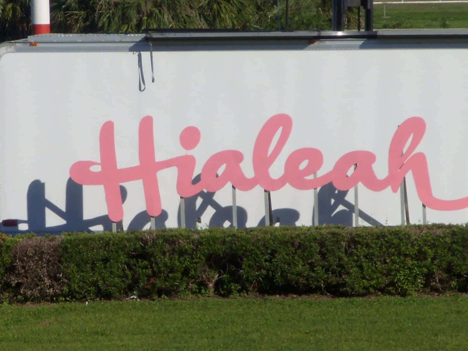 Hialeah, pink cursive sign, white wall, HD Desktop Wallpaper