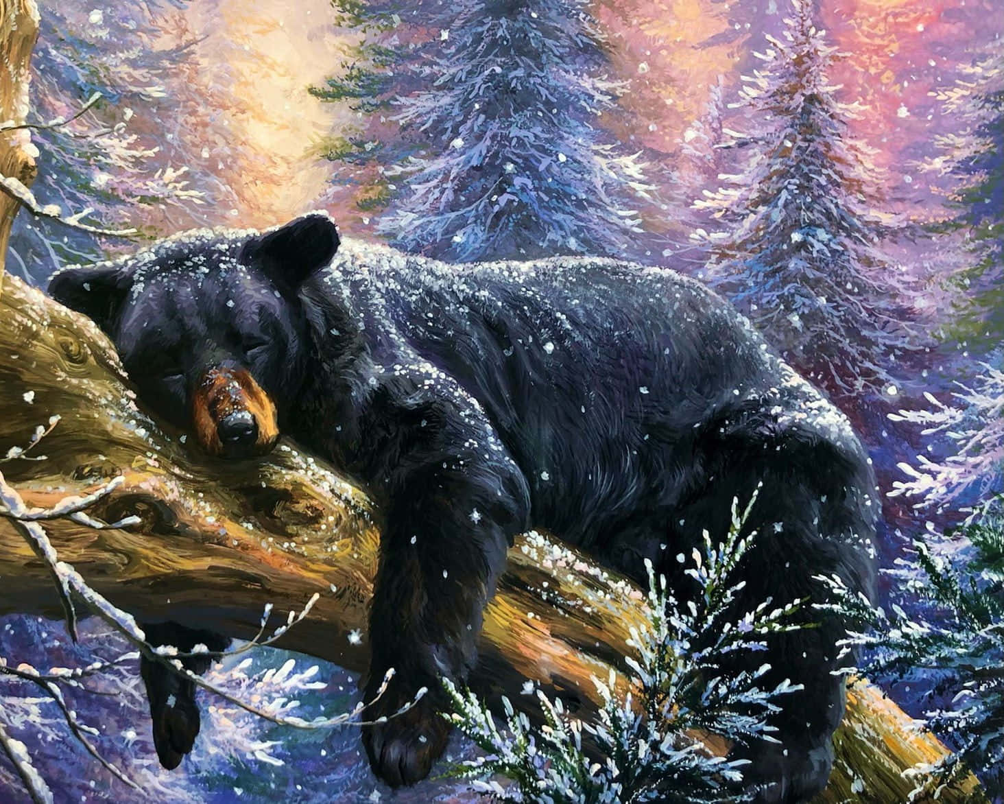 black bear, cave, snow-dusted log, HD Desktop Wallpaper