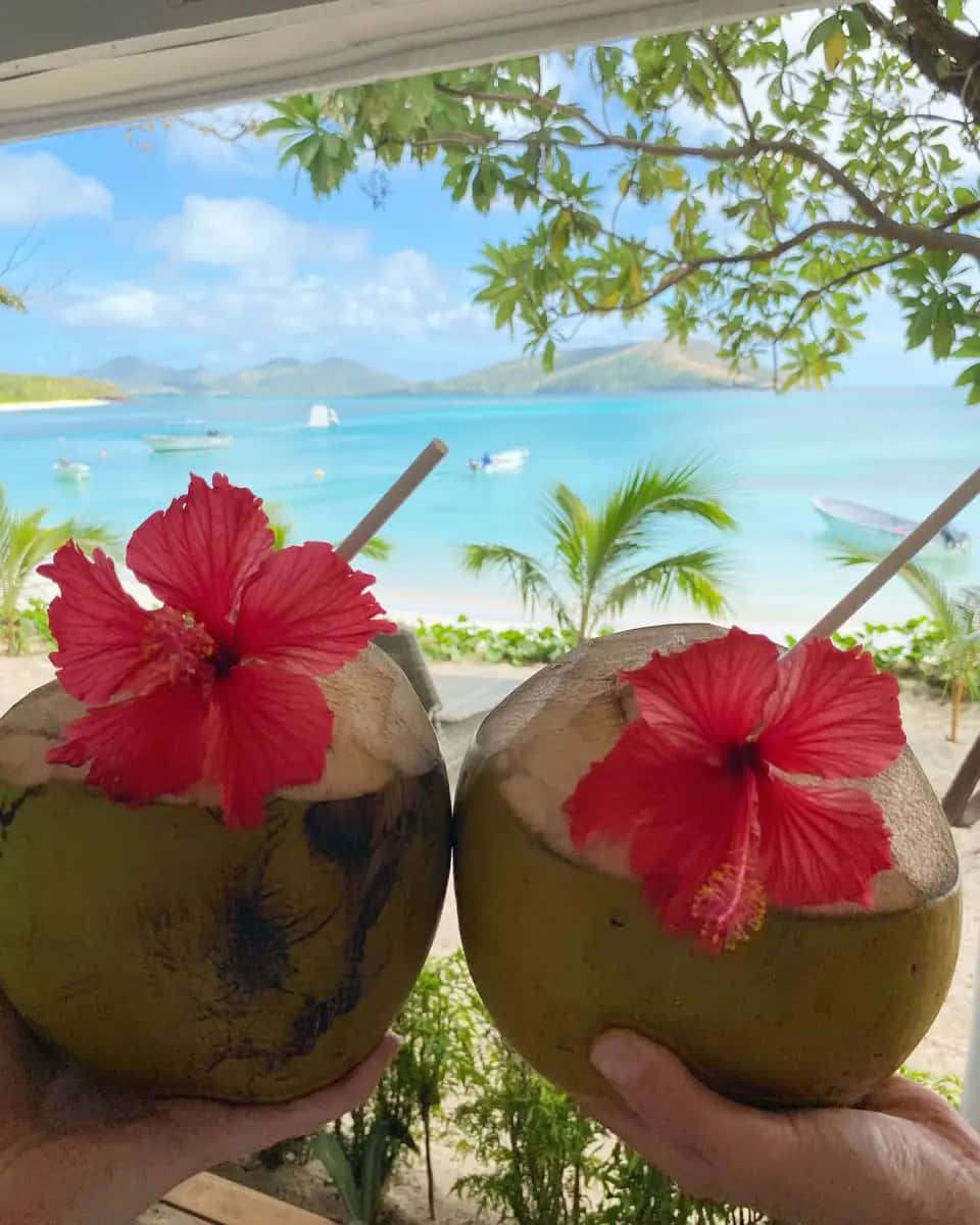 tropical coconut drinks, red hibiscus flowers, turquoise tropical bay, SD Phone Wallpaper