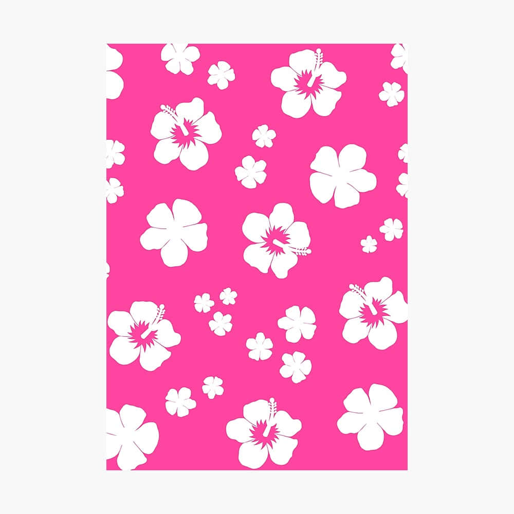 pink hibiscus floral pattern, vibrant pink background, white hibiscus flowers, SD Desktop Wallpaper