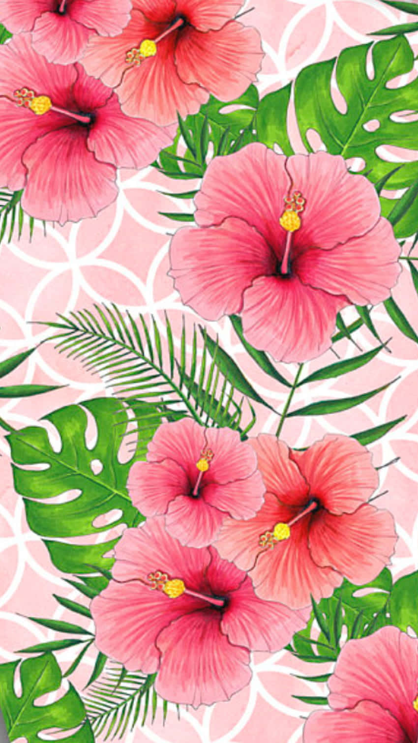 tropical hibiscus flower pattern, pink hibiscus flowers, lush green monstera leaves, HD Phone Wallpaper