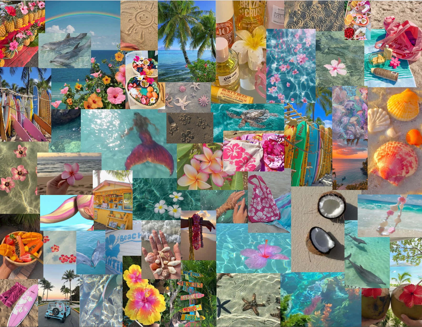 Tropical Hibiscus Coconut Collage, dolphins, palm trees, HD Desktop Wallpaper