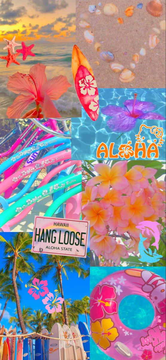 Hibiscus Flower, Coconut Girl Aesthetic, Sunset, SD Phone Wallpaper