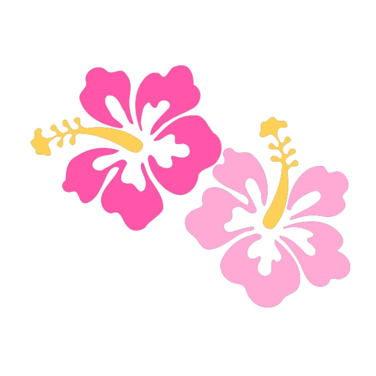 Pink Hibiscus Flower, vibrant pink, softer pink, SD Desktop Wallpaper