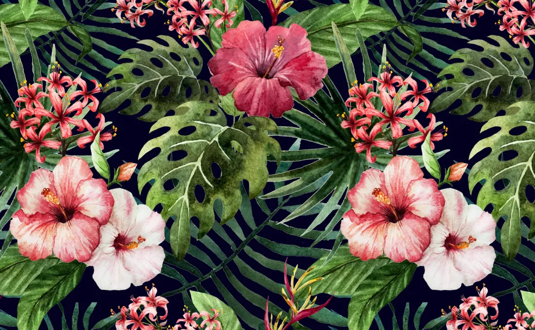 Hibiscus Flower