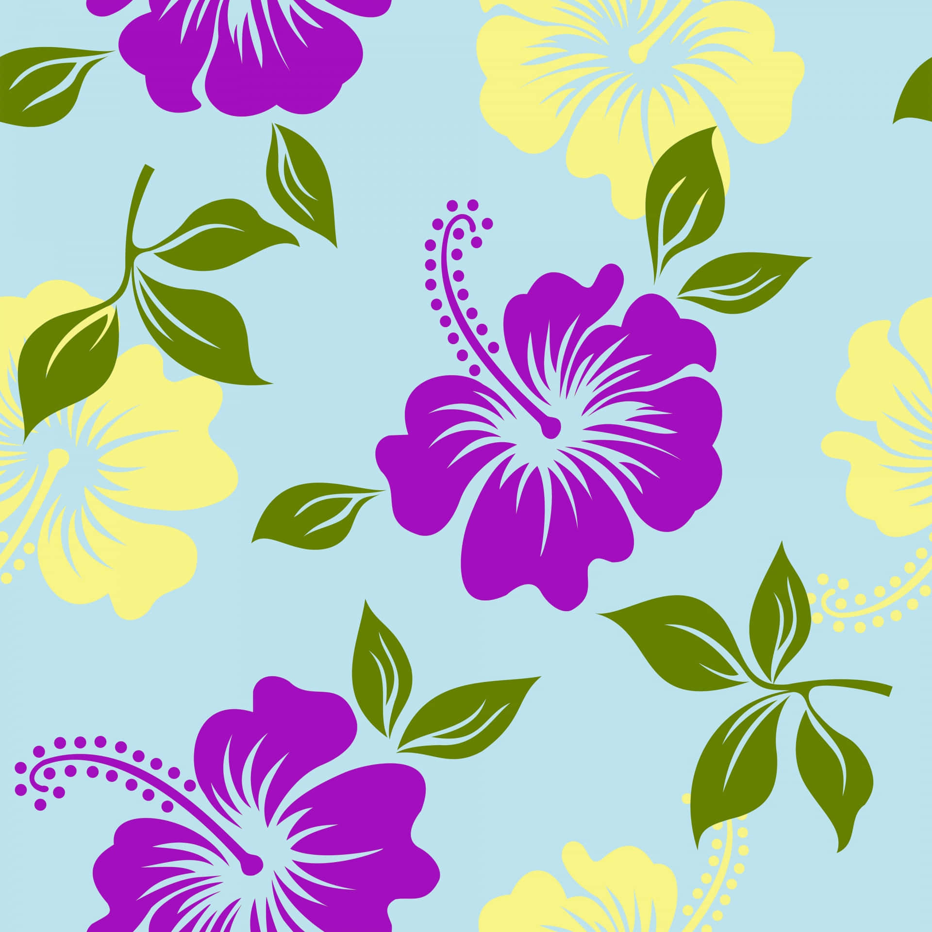 vibrant lavender and yellow hibiscus flower, purple and yellow hibiscus flowers, green leaves, Full HD Desktop Wallpaper