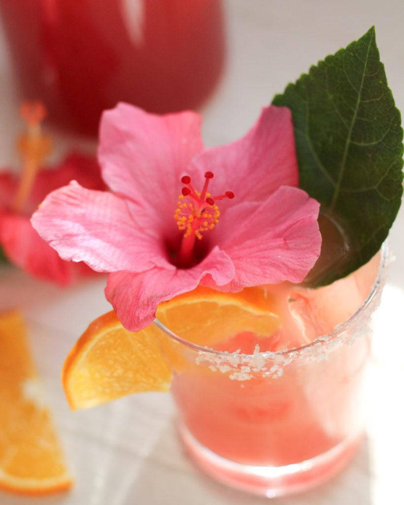 Hibiscus, cocktail, pink hibiscus flower, SD Phone Wallpaper