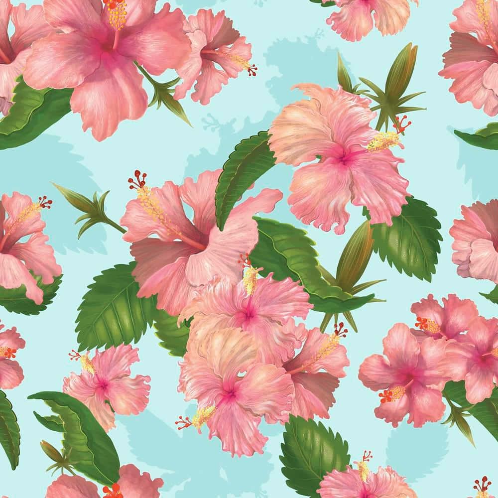 pink hibiscus flower, green leaves, soft blue background, SD Desktop Wallpaper