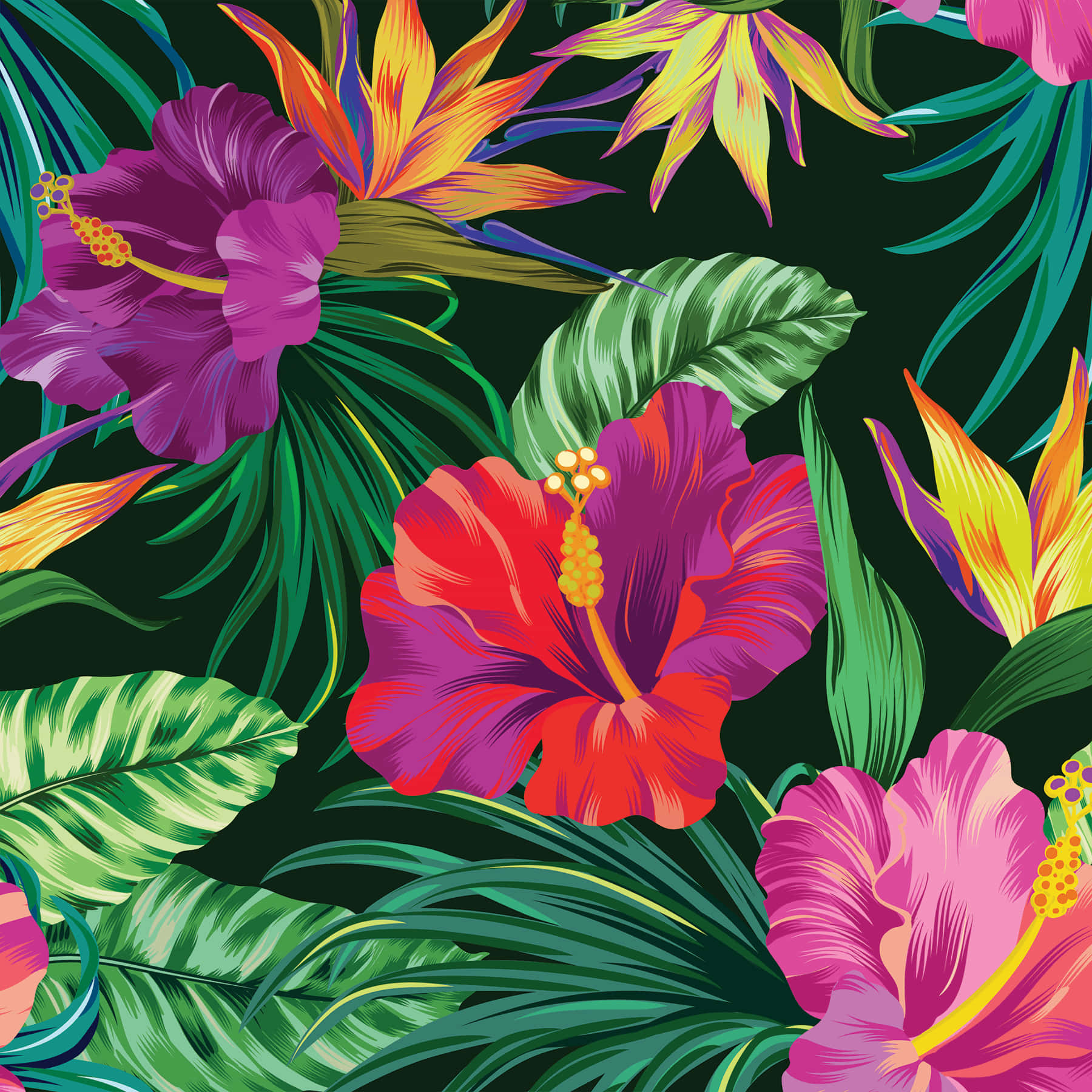 Hibiscus flower, tropical flowers, lush green leaves, HD Desktop Wallpaper
