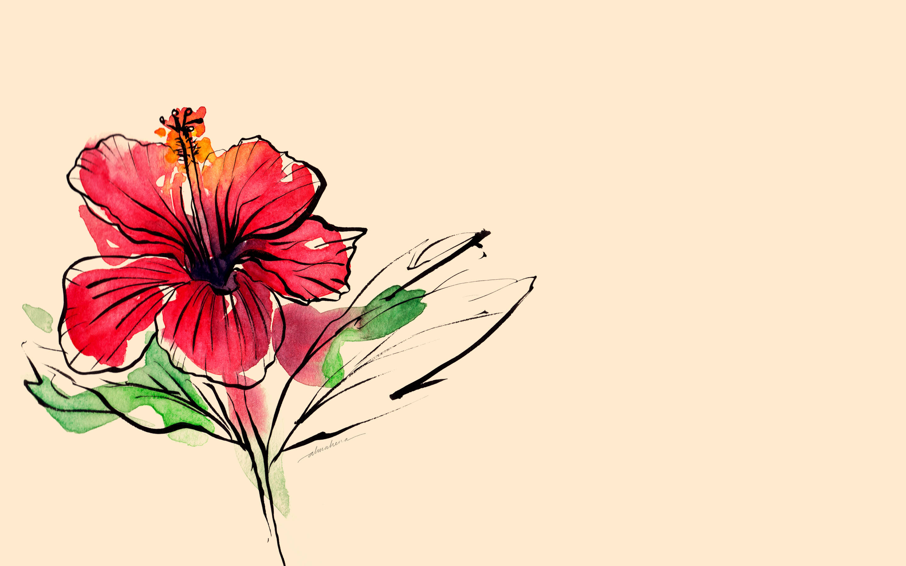 Hibiscus, vibrant red hibiscus flower, green leaves, 2K Desktop Wallpaper