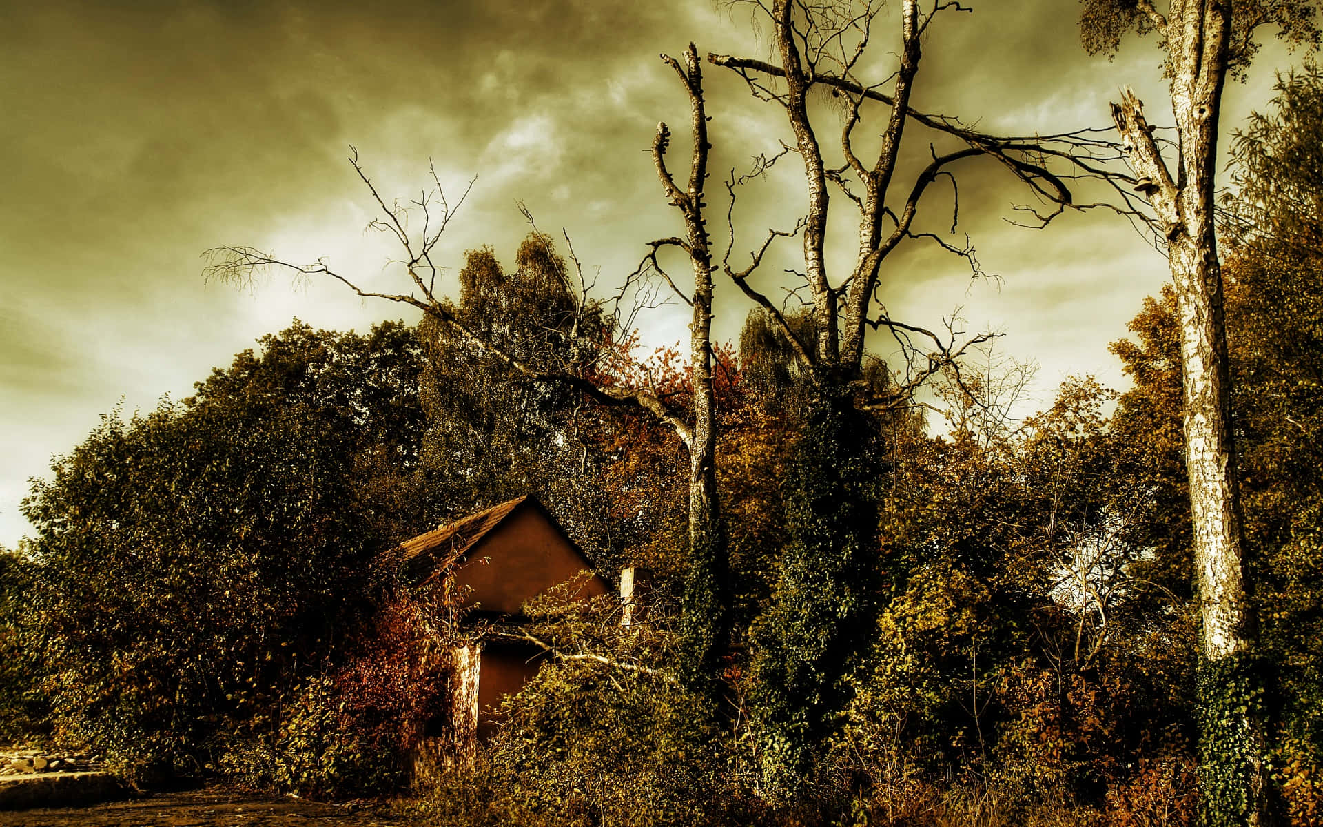 Hidden Leaf Village, abandoned wooden cabin, overgrown foliage, Full HD Desktop Wallpaper