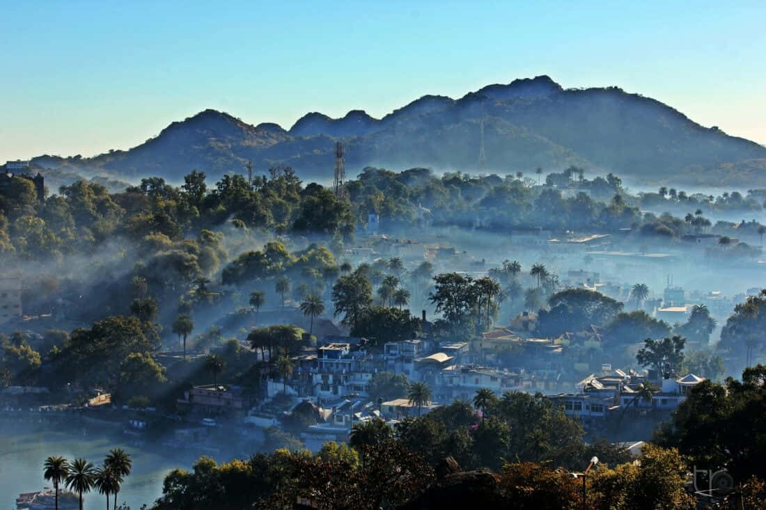 Misty Mountain Morning Townscape, misty morning light, trees and mist, SD Desktop Wallpaper