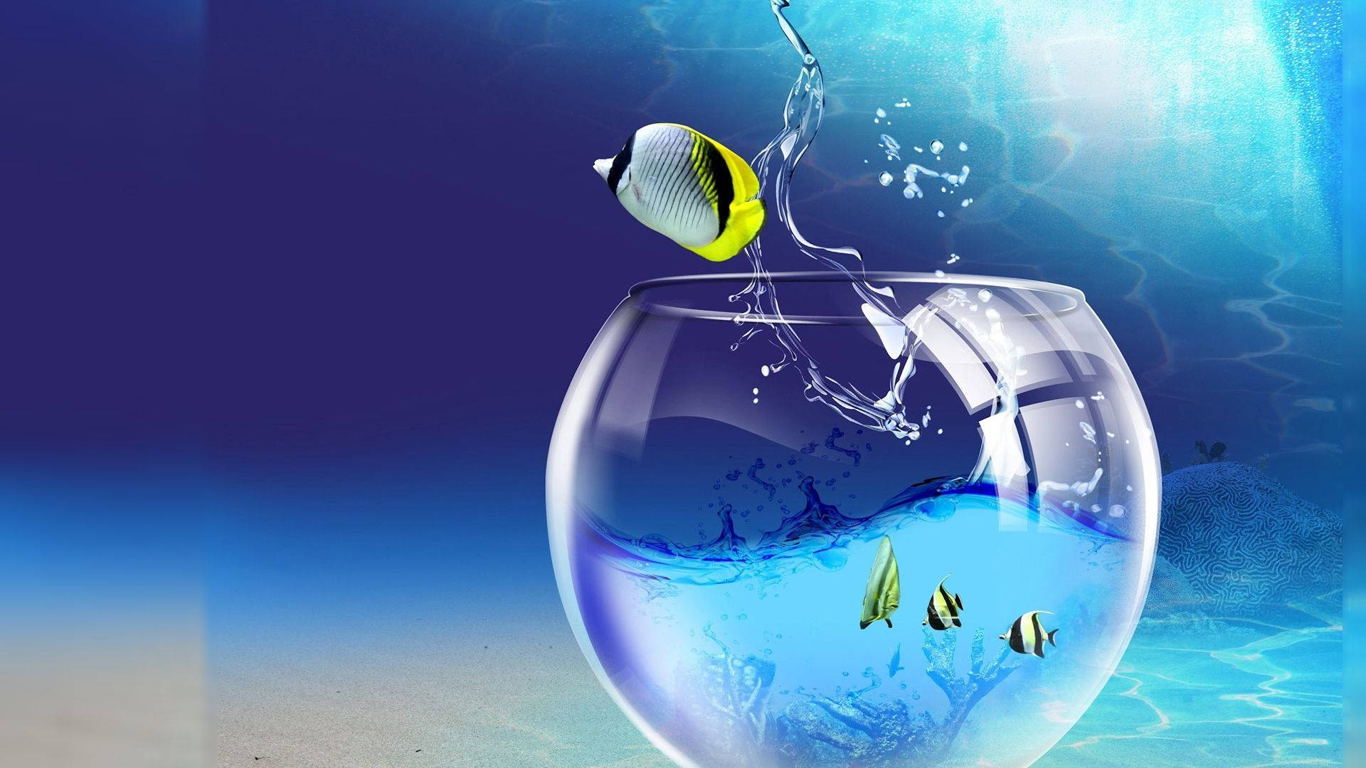 butterfly fish, glass bowl, splash, Full HD Desktop Wallpaper