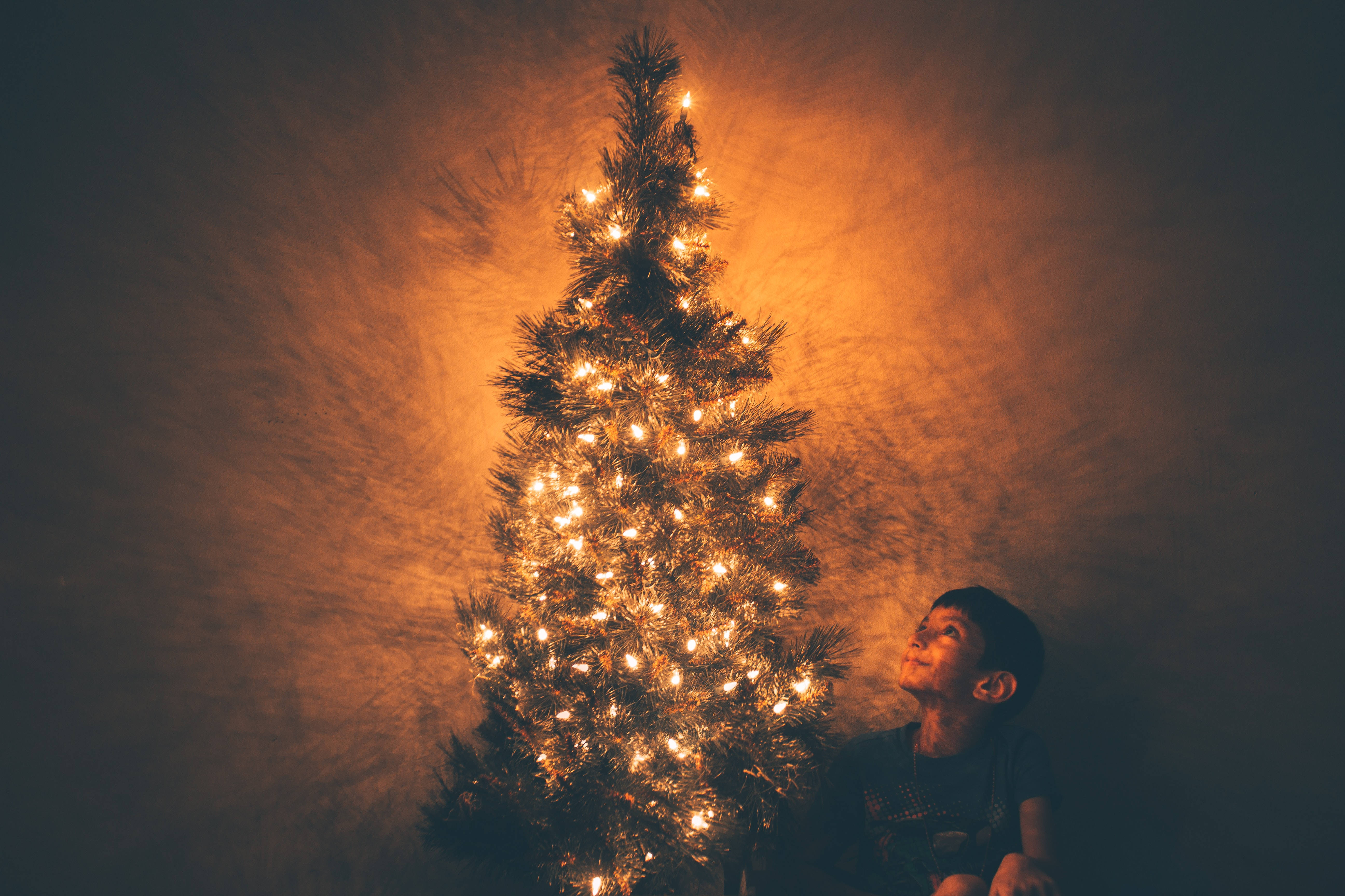 Solemn High Resolution Christmas Child, pine tree, glowing golden fairy lights, 5K Desktop Wallpaper