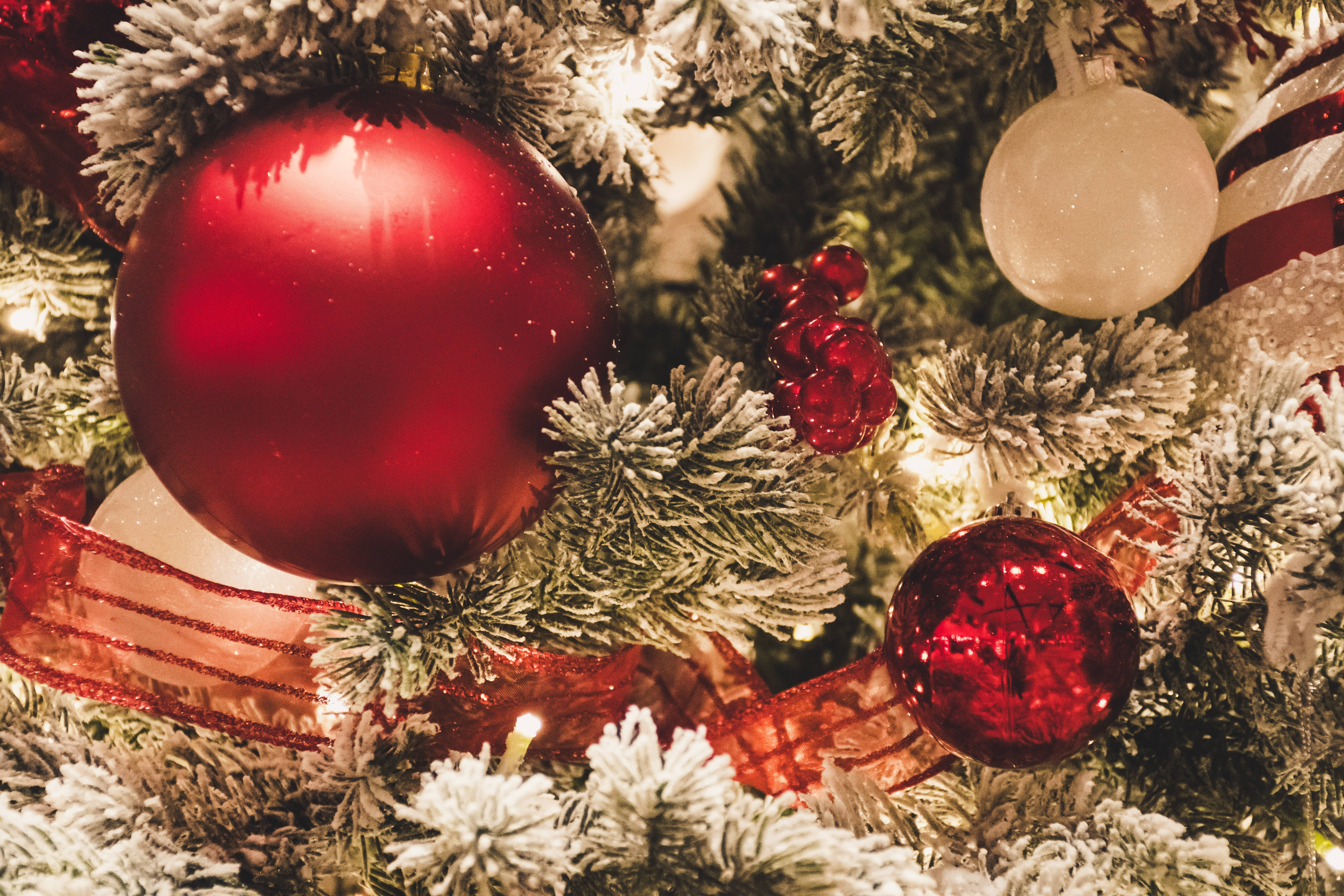 Christmas tree, snow-dusted, red and white ornaments, 5K Desktop Wallpaper