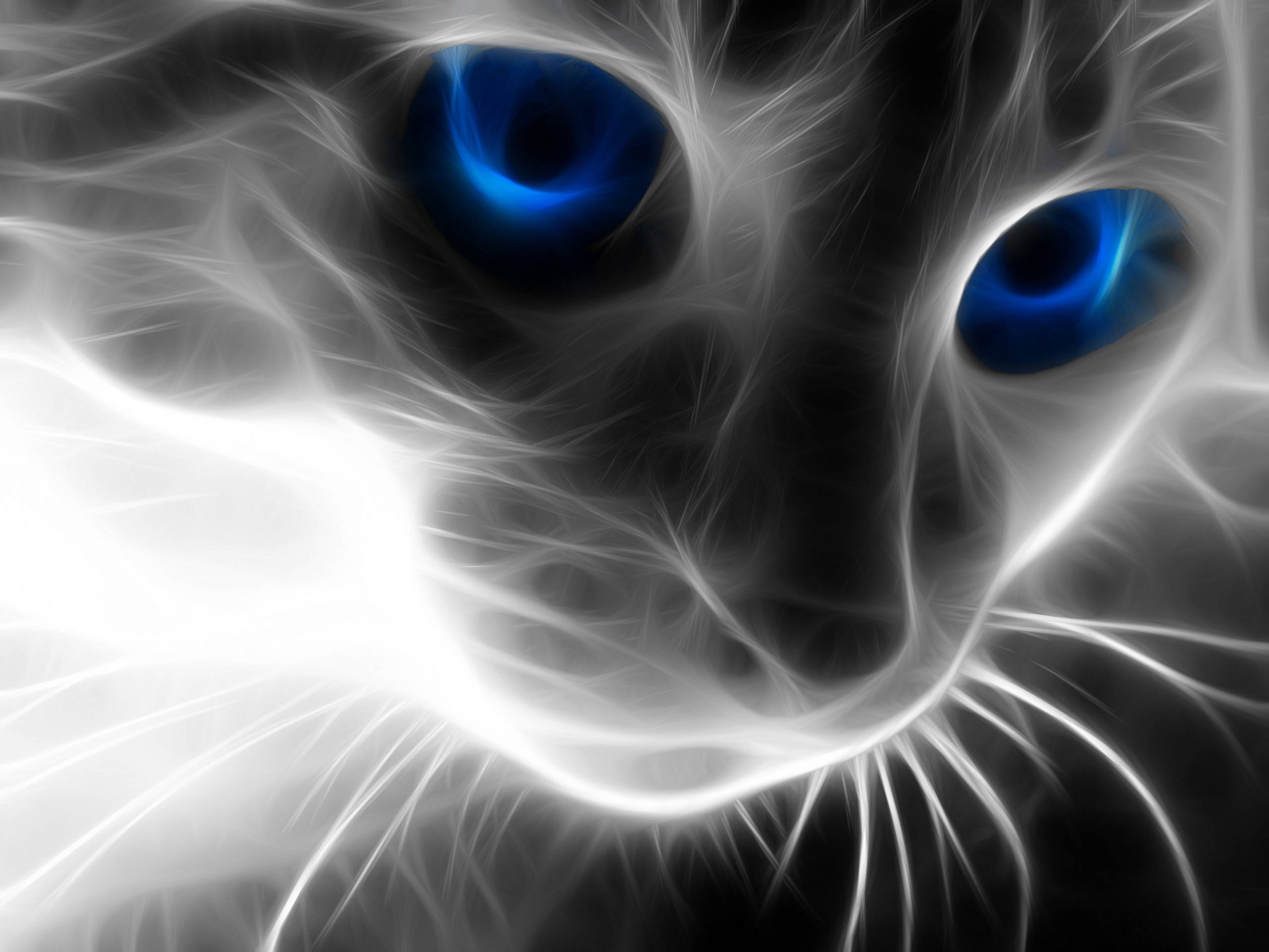 ghostly cat face, glowing blue eyes, swirling white and black fractal energy, 2K Desktop Wallpaper
