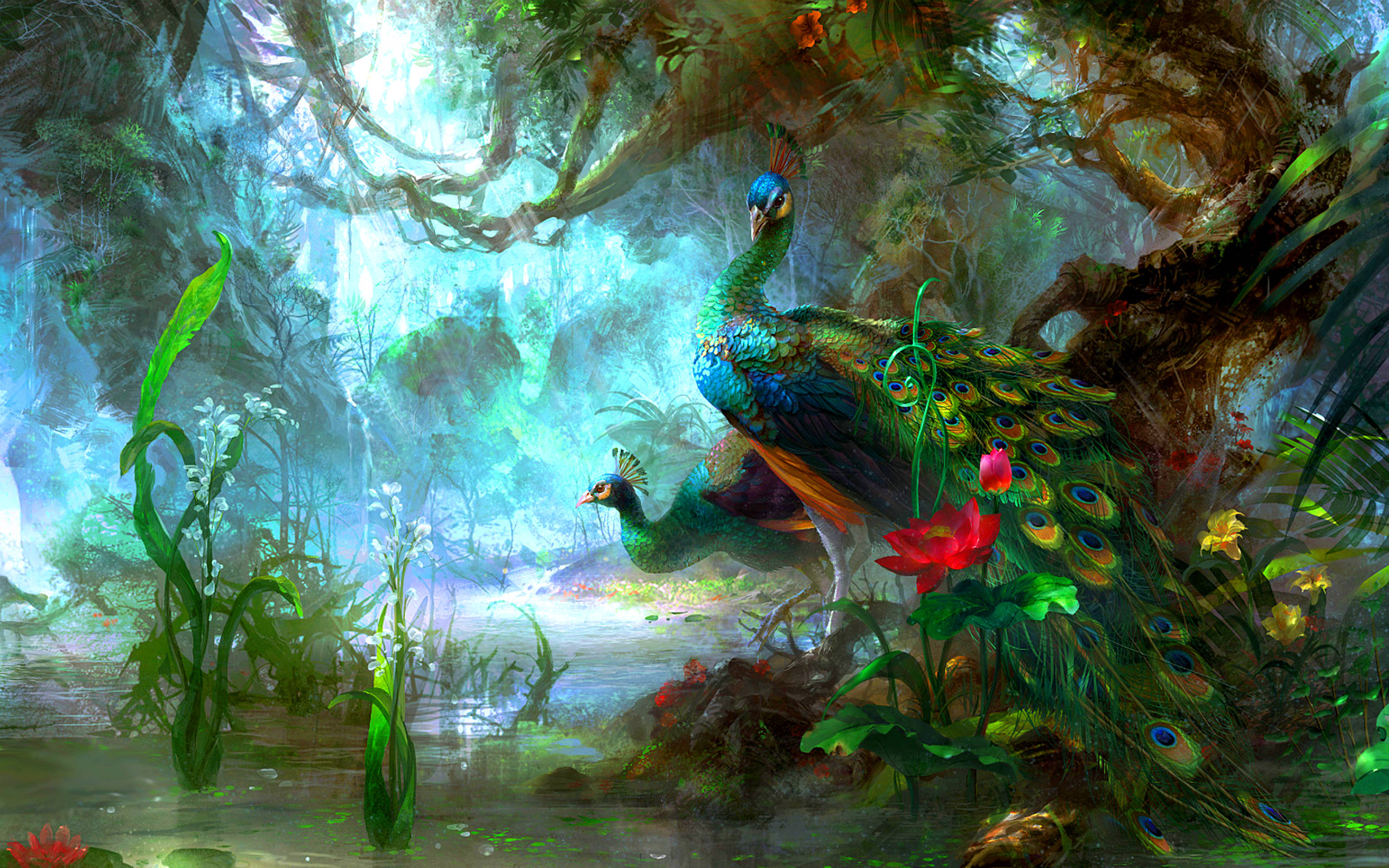 peacock, jungle foliage, misty waterway, 2K Desktop Wallpaper