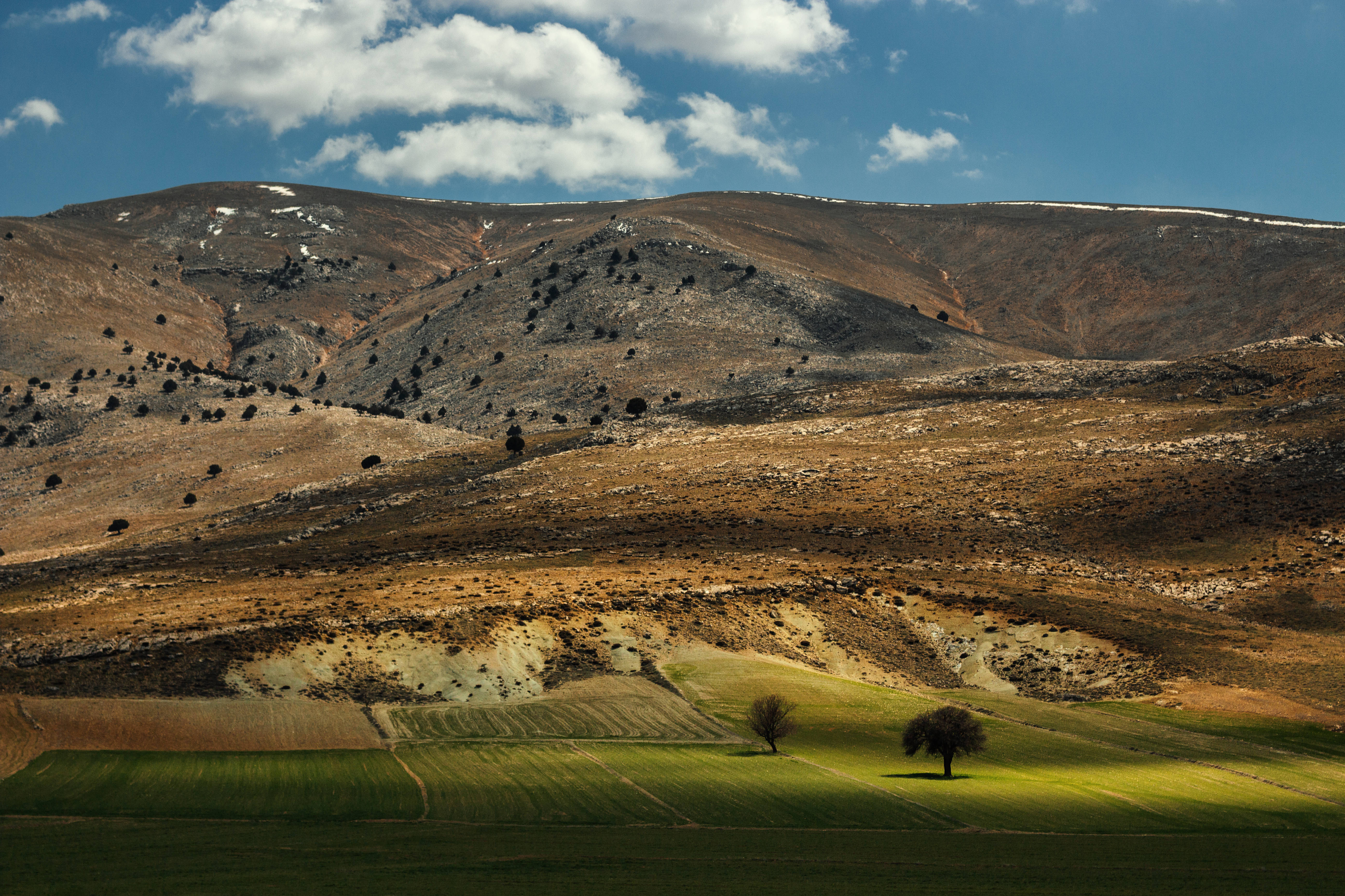 green grassland, sunlit hills, snow-dusted peaks, 5K Desktop Wallpaper