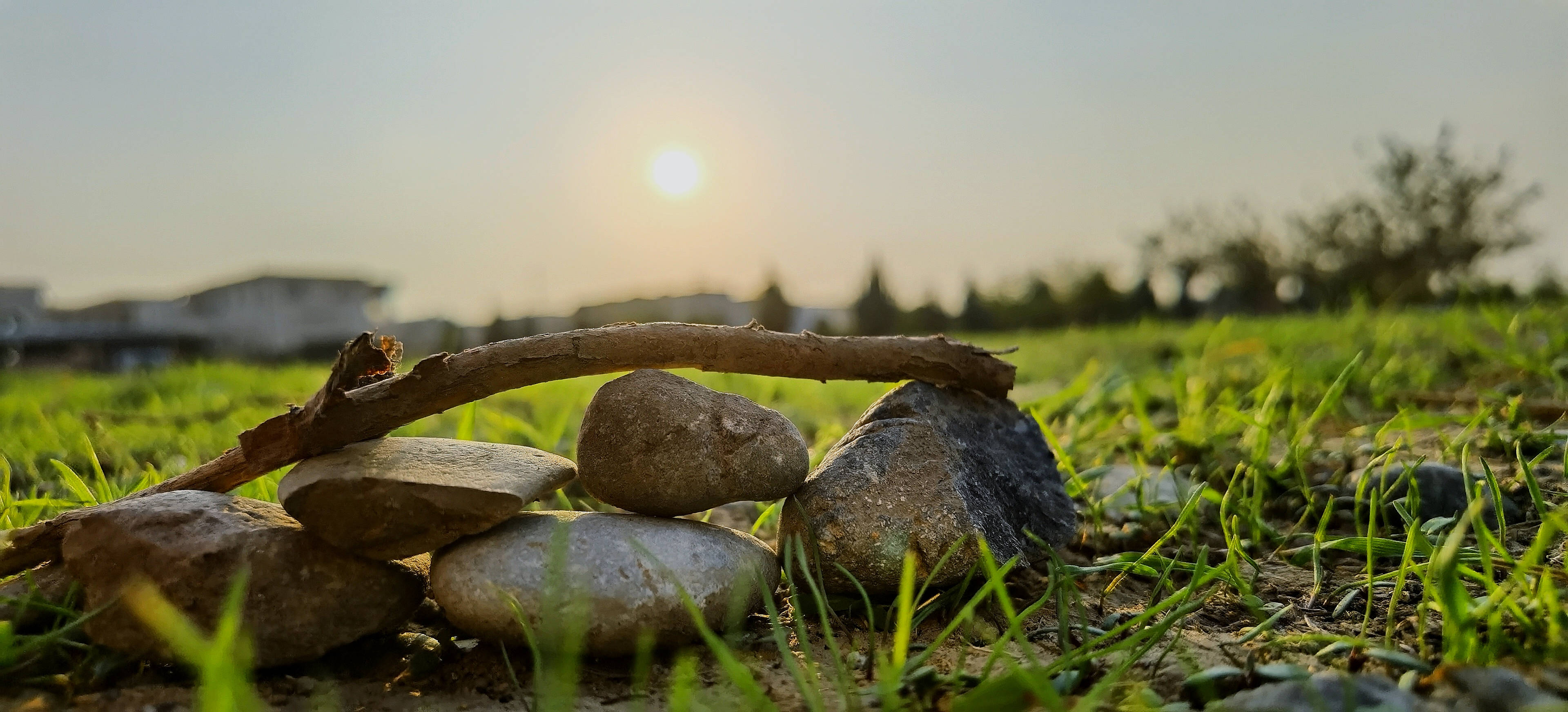 High Resolution Desktop, vibrant green grass, warm sunset glow, 4K Desktop Wallpaper