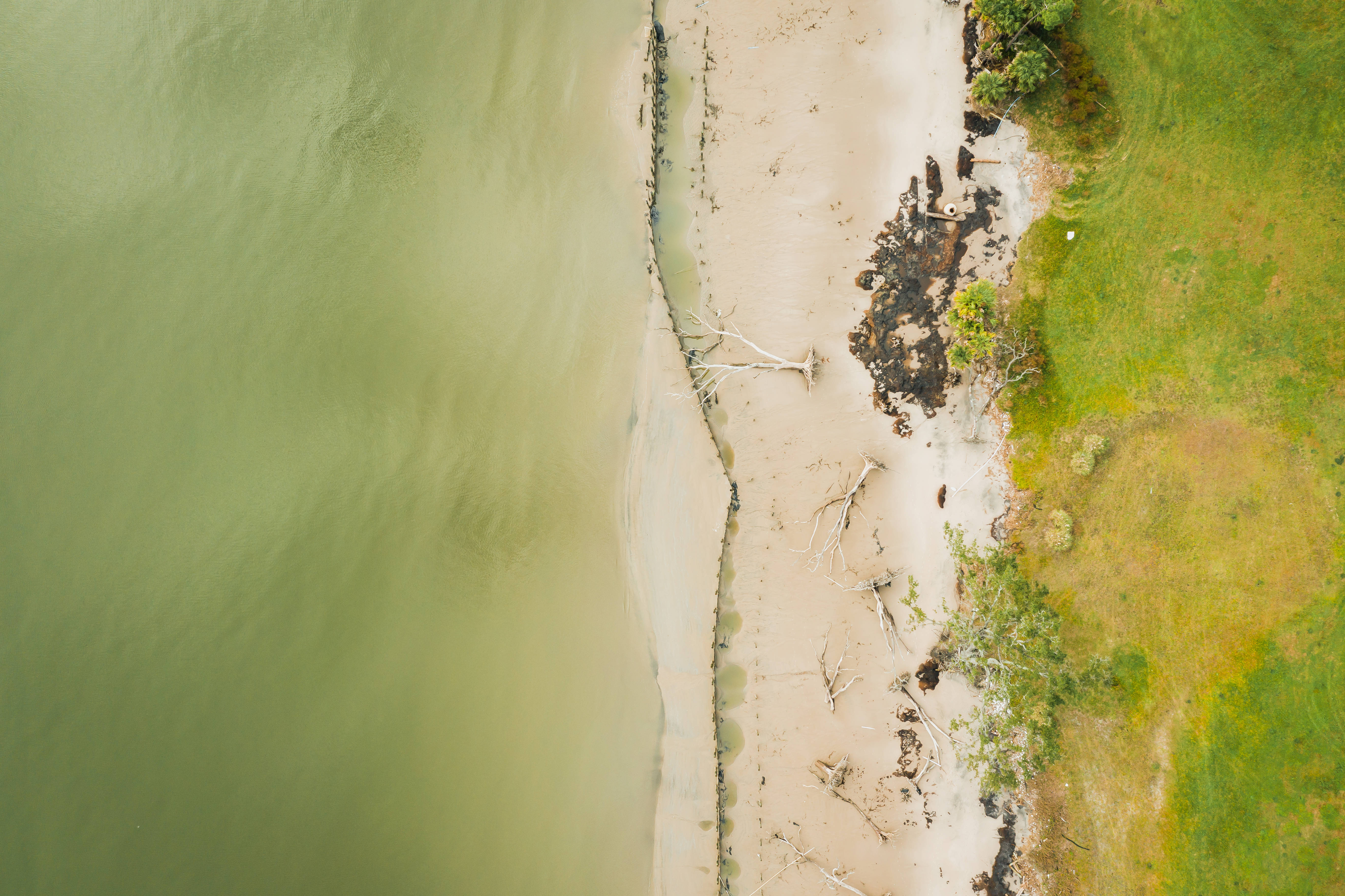 beach, sandy beach, murky green water, 5K Desktop Wallpaper
