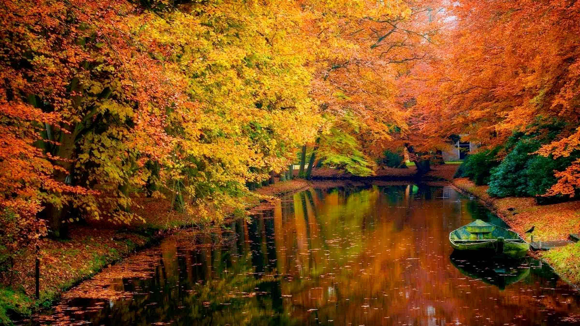High Resolution Fall, autumn canal, vibrant orange and yellow trees, Full HD Desktop Wallpaper