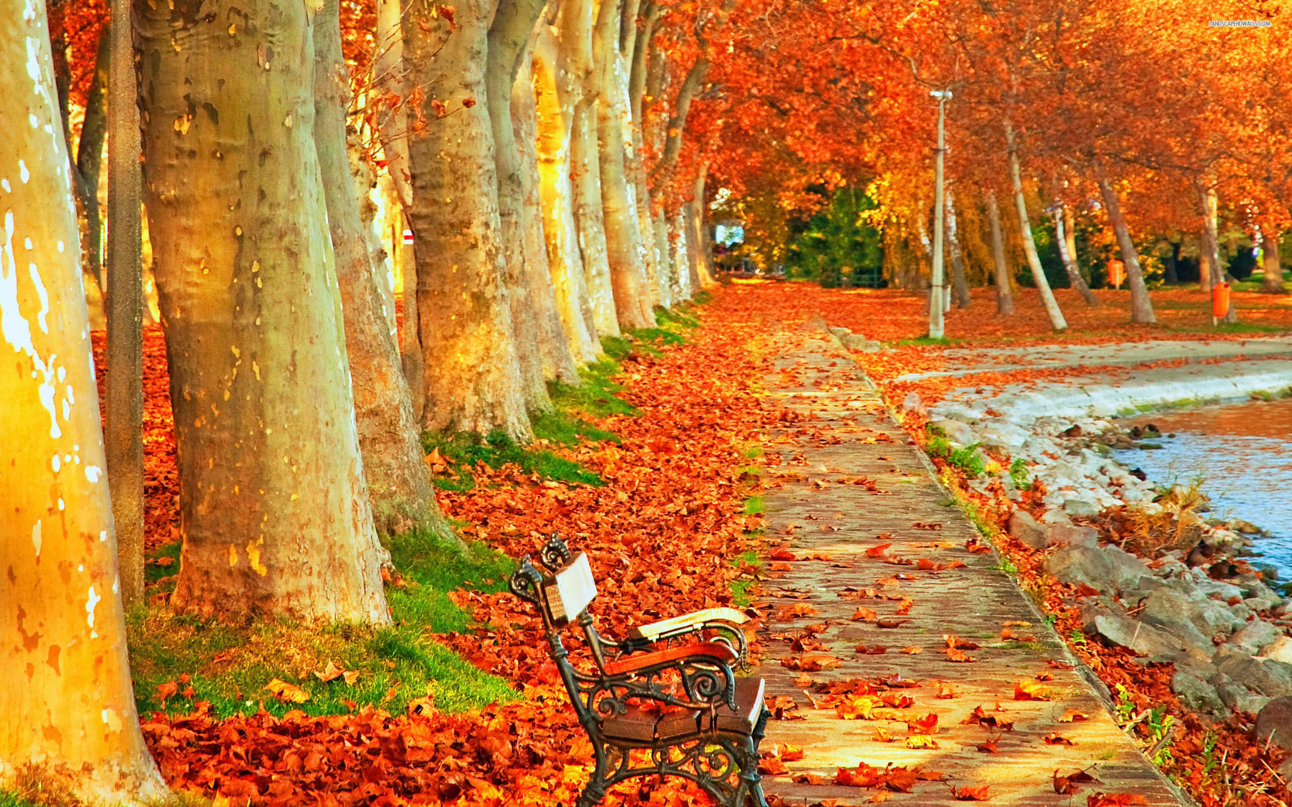 High Resolution Fall, lake, leaves, 2K Desktop Wallpaper